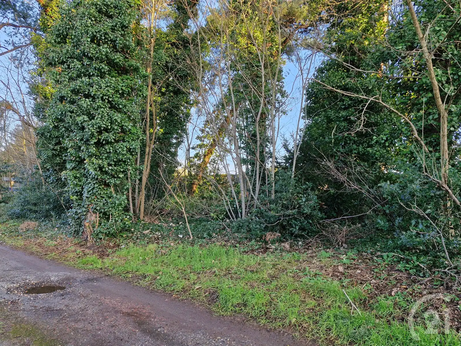 Nieuw te bouwen woning te koop in Tremelo! foto 4