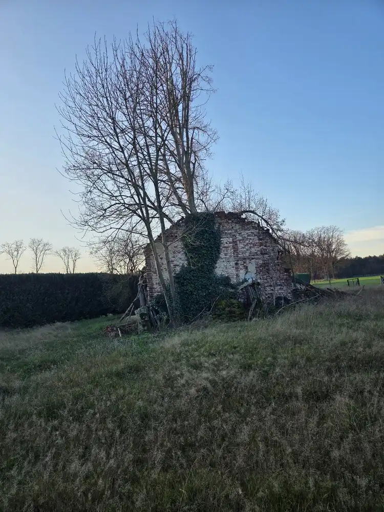 Mooie bouwgrond met prachtig uitzicht te Hechtel-Eksel foto 8