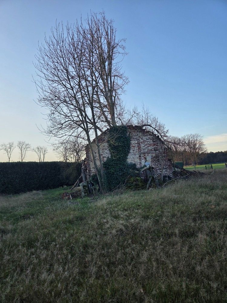 Mooie bouwgrond met prachtig uitzicht te Hechtel-Eksel foto 8