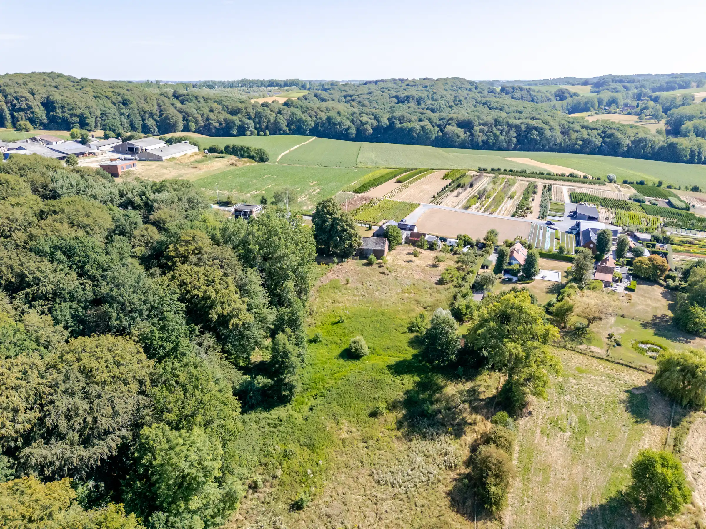 Uitzonderlijke bouwgrond met 14.220 m² aan de Kanarieberg foto 3