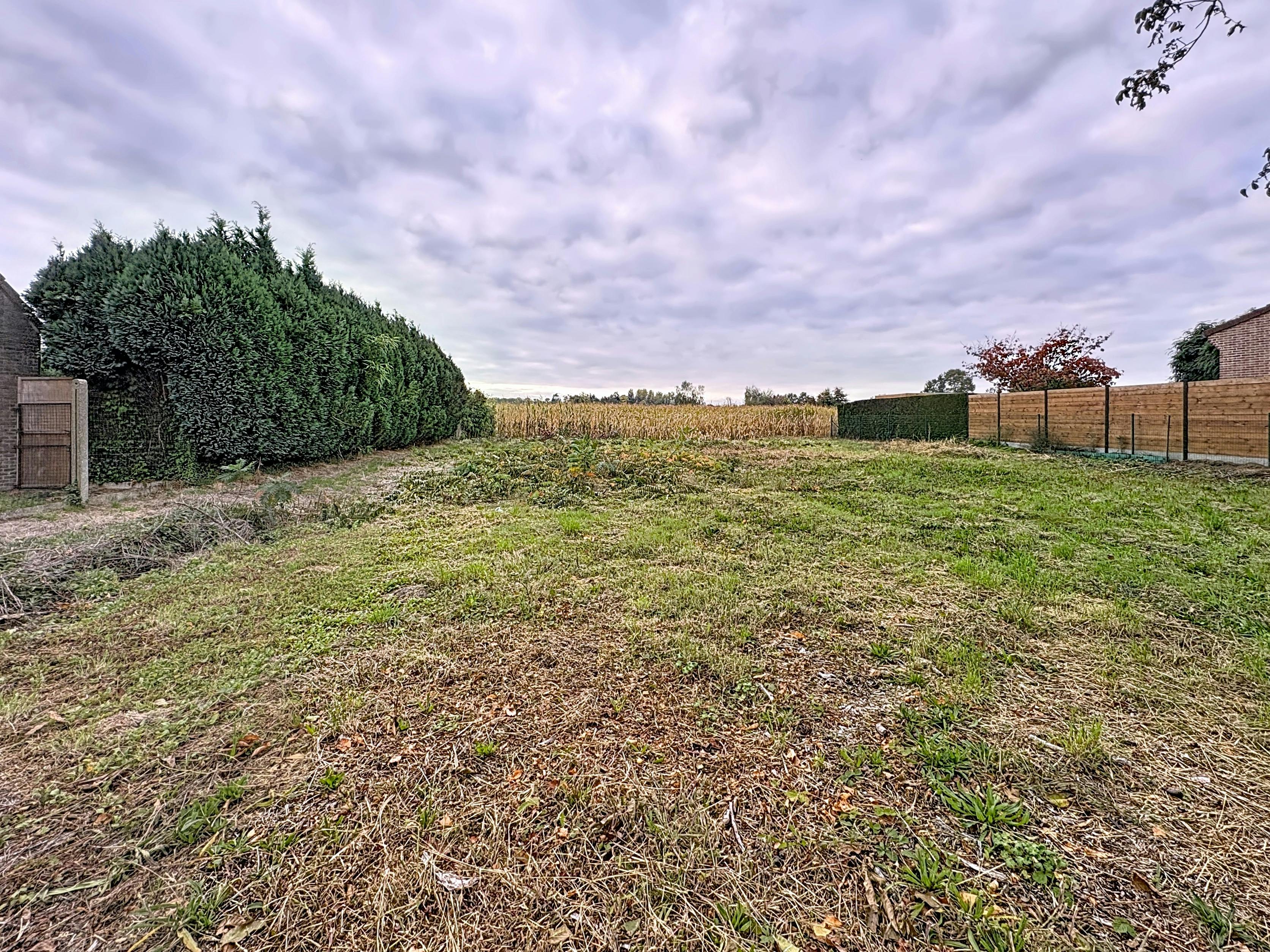 Mooie bouwgrond voor open bebouwing te Blaasveld foto 5