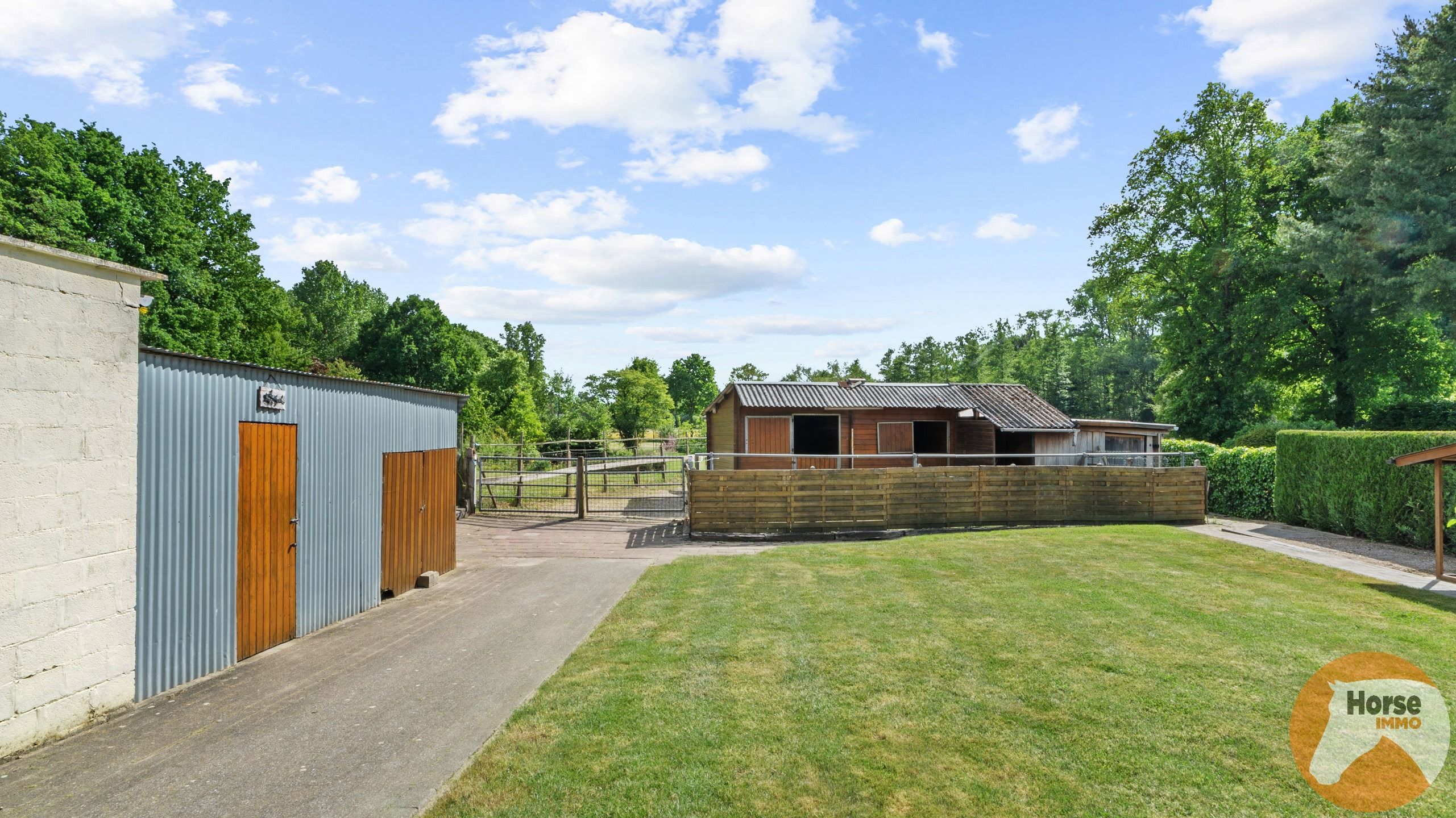 NIEUWRODE - Op te frissen woning op +/- 1ha30a foto 5