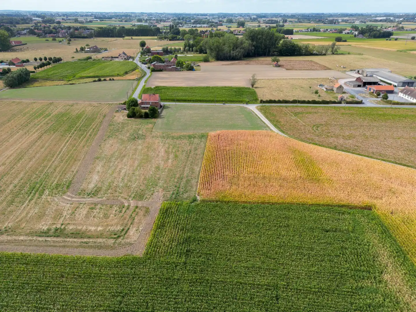 Landelijke woning/bouwgrond met verzichten - Oekene foto 8