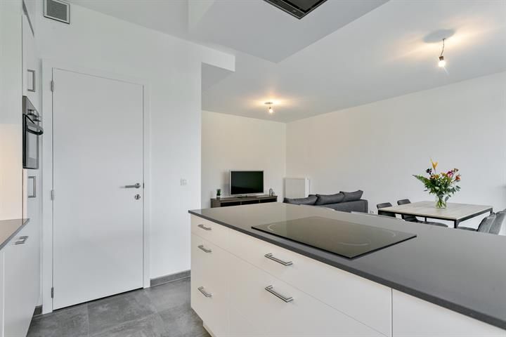 Gelijkvloers appartement met terras en tuintje foto 15