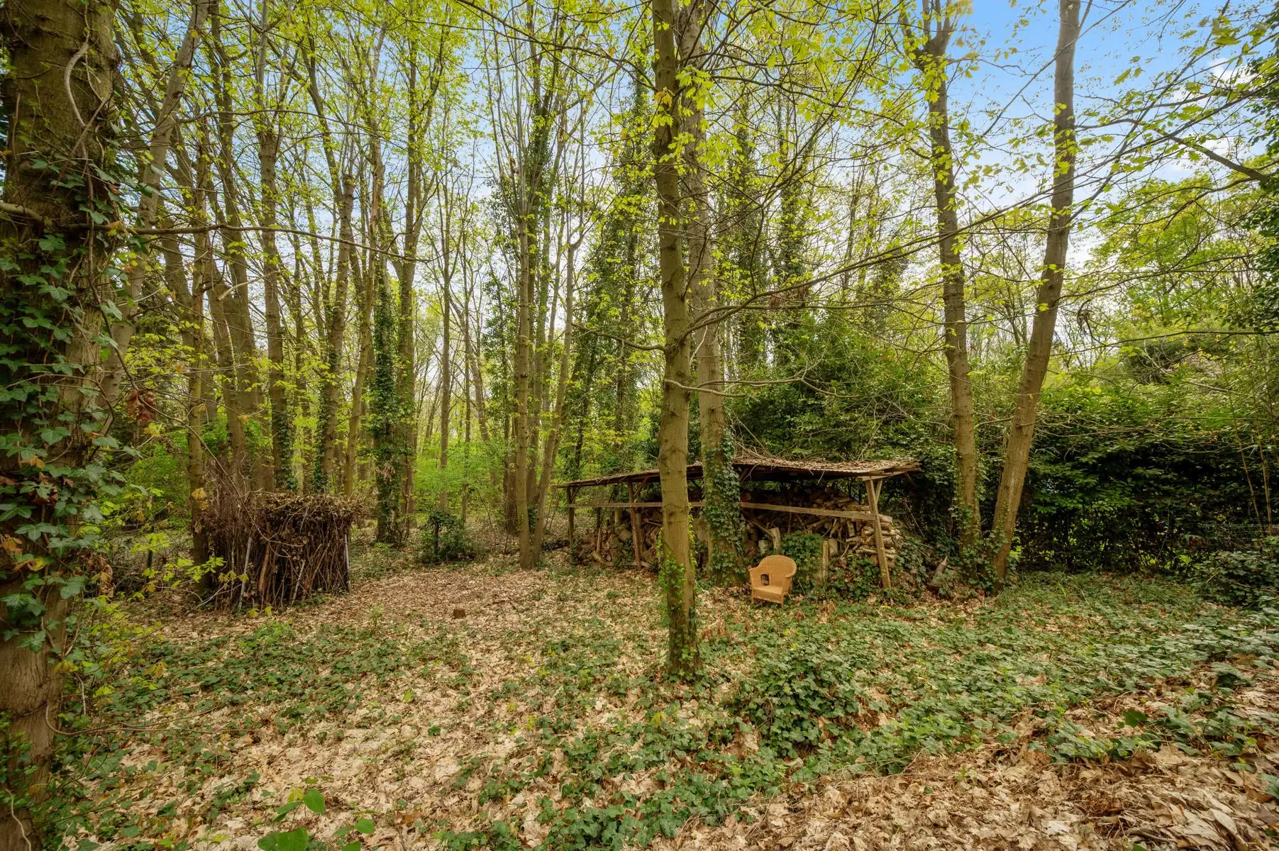 Villa in prachtige groene omgeving te ROTSELAAR foto 23