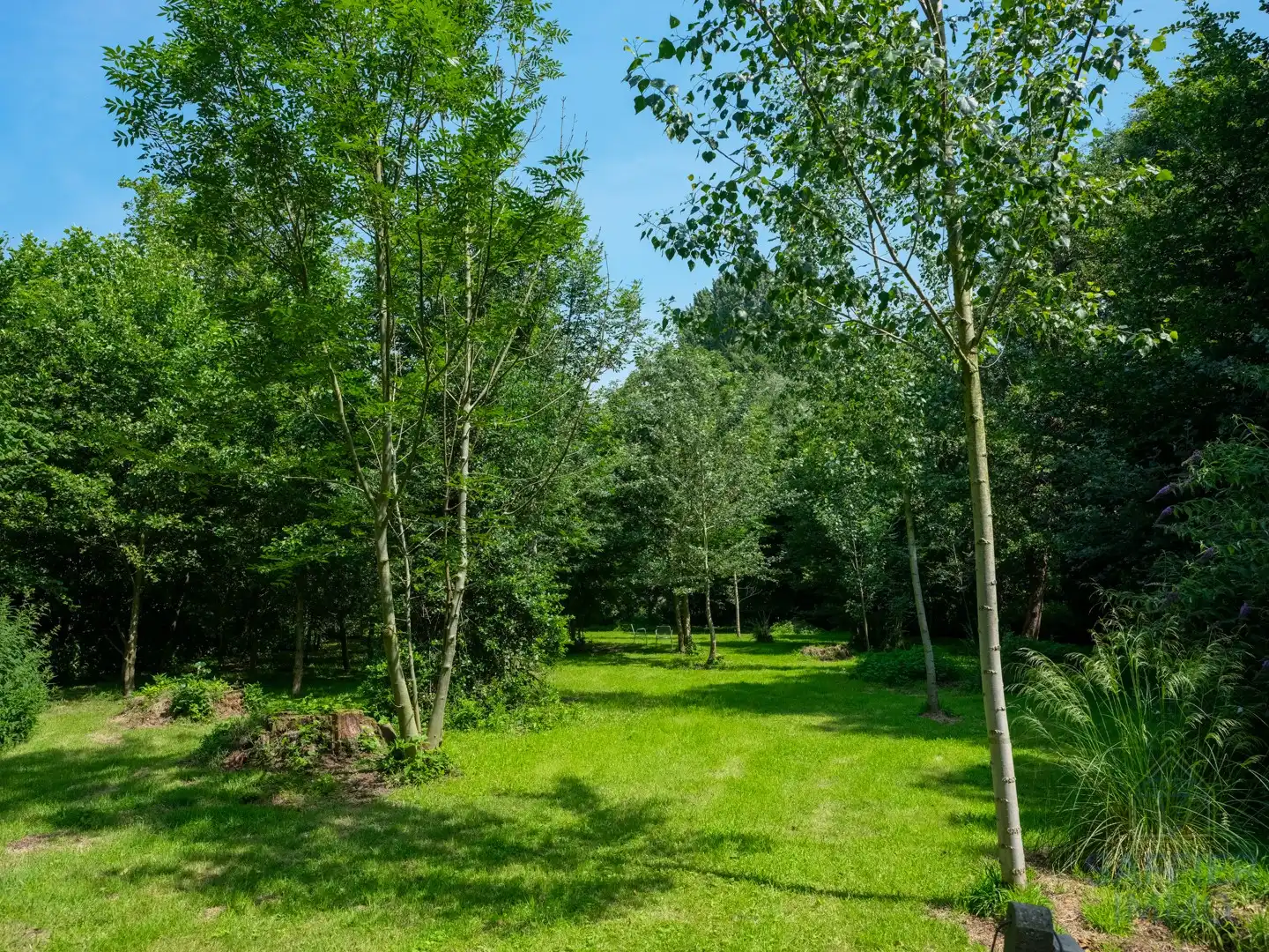 Uniek pand op 3.515 m² met prachtige tuin en volop privacy in Ingelmunster foto 5