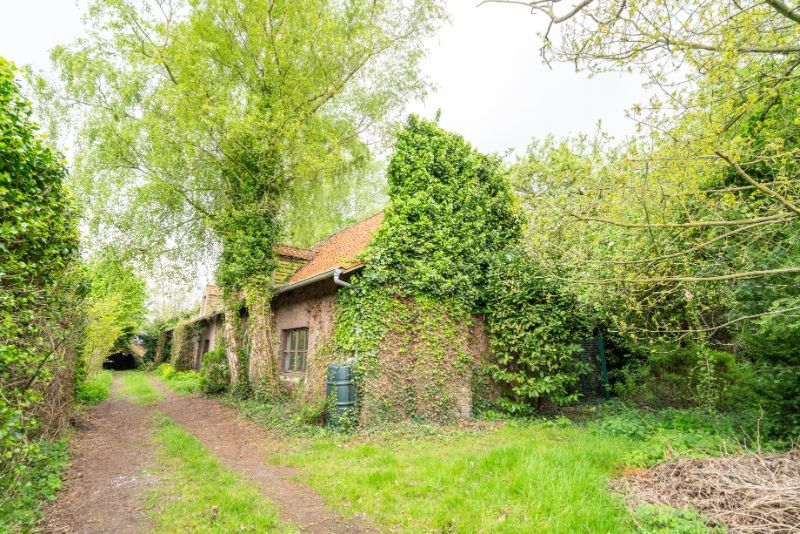 Eigendom 2563m² grondopp - 27m straatbreedte !!! foto 16