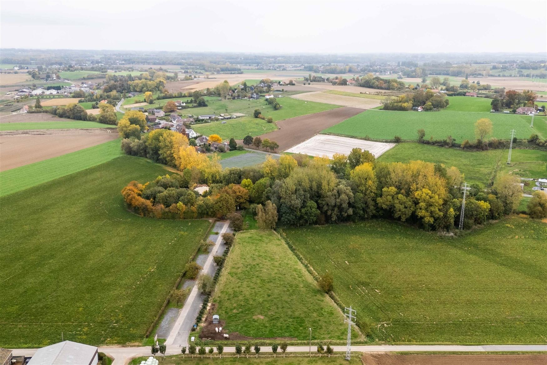 Uniek eigendom te koop: de Zwadderkotmolen. foto 4