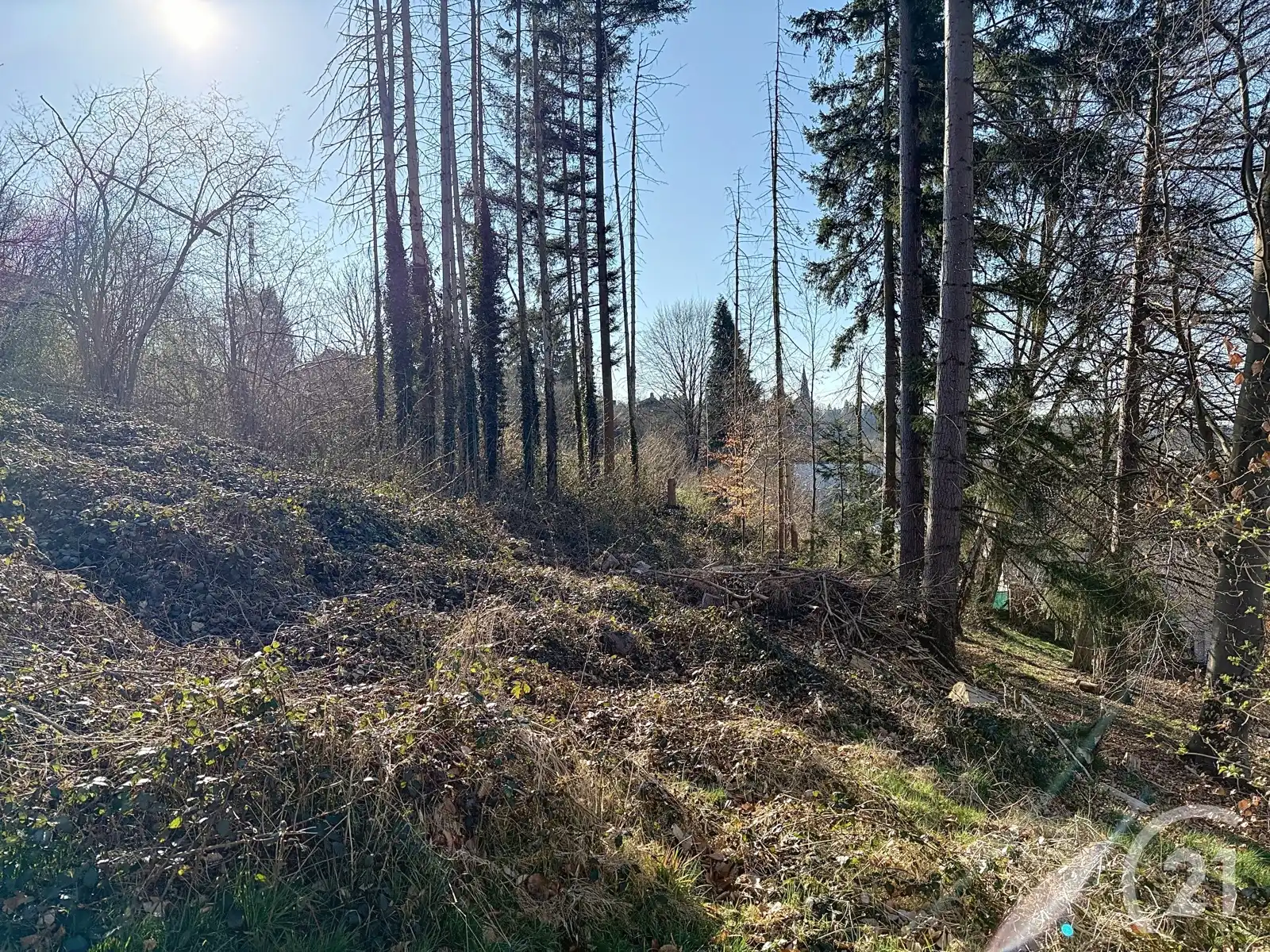 Huis met vakantiewoning te koop in Vielsalm! foto 29