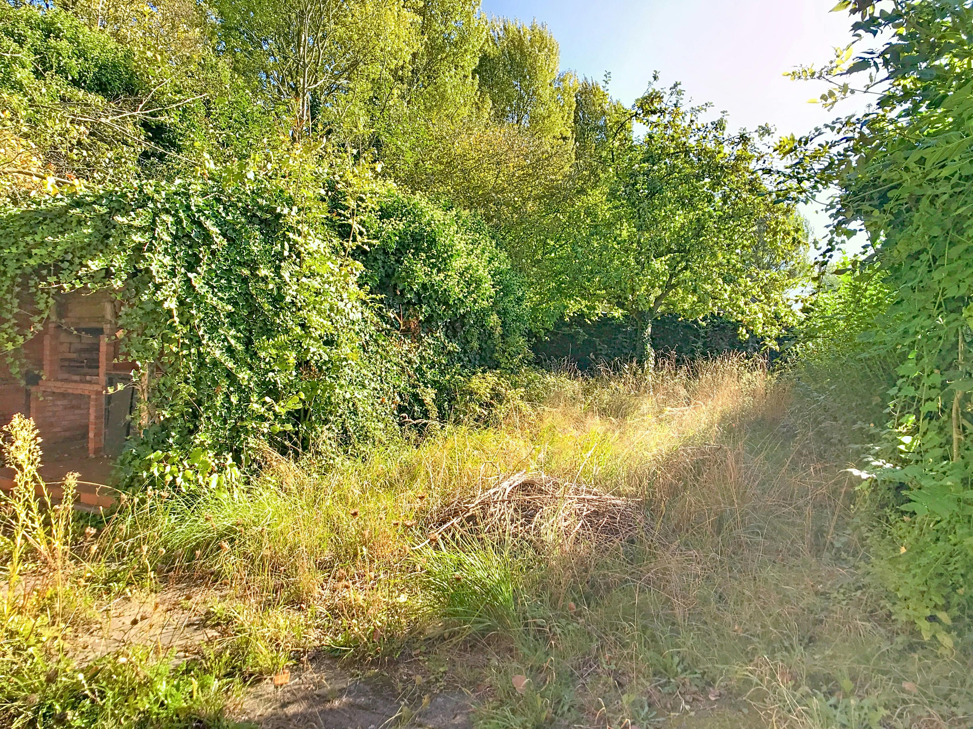 Rustig gelegen huis of vakantiewoning in groene omgeving foto 17