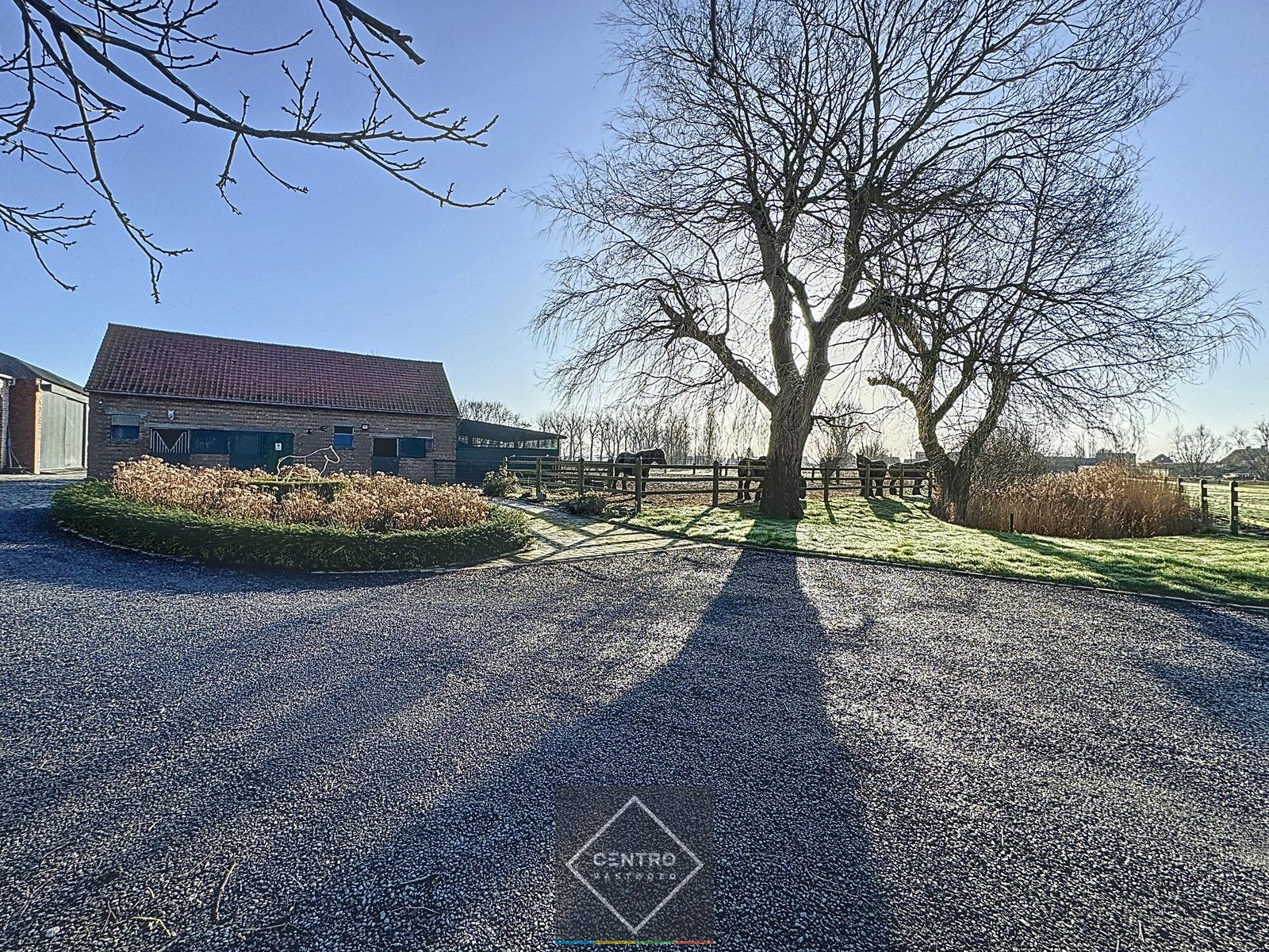 UNIEK gelegen hoeve op TOPligging te Zuienkerke! foto 19