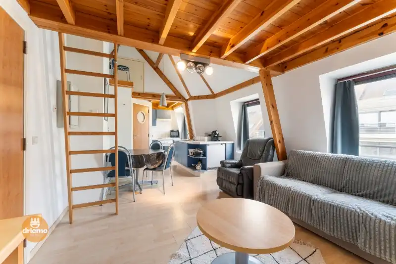 Hoofdfoto van de publicatie: STUDIO IN DE BUURT VAN HET STRAND