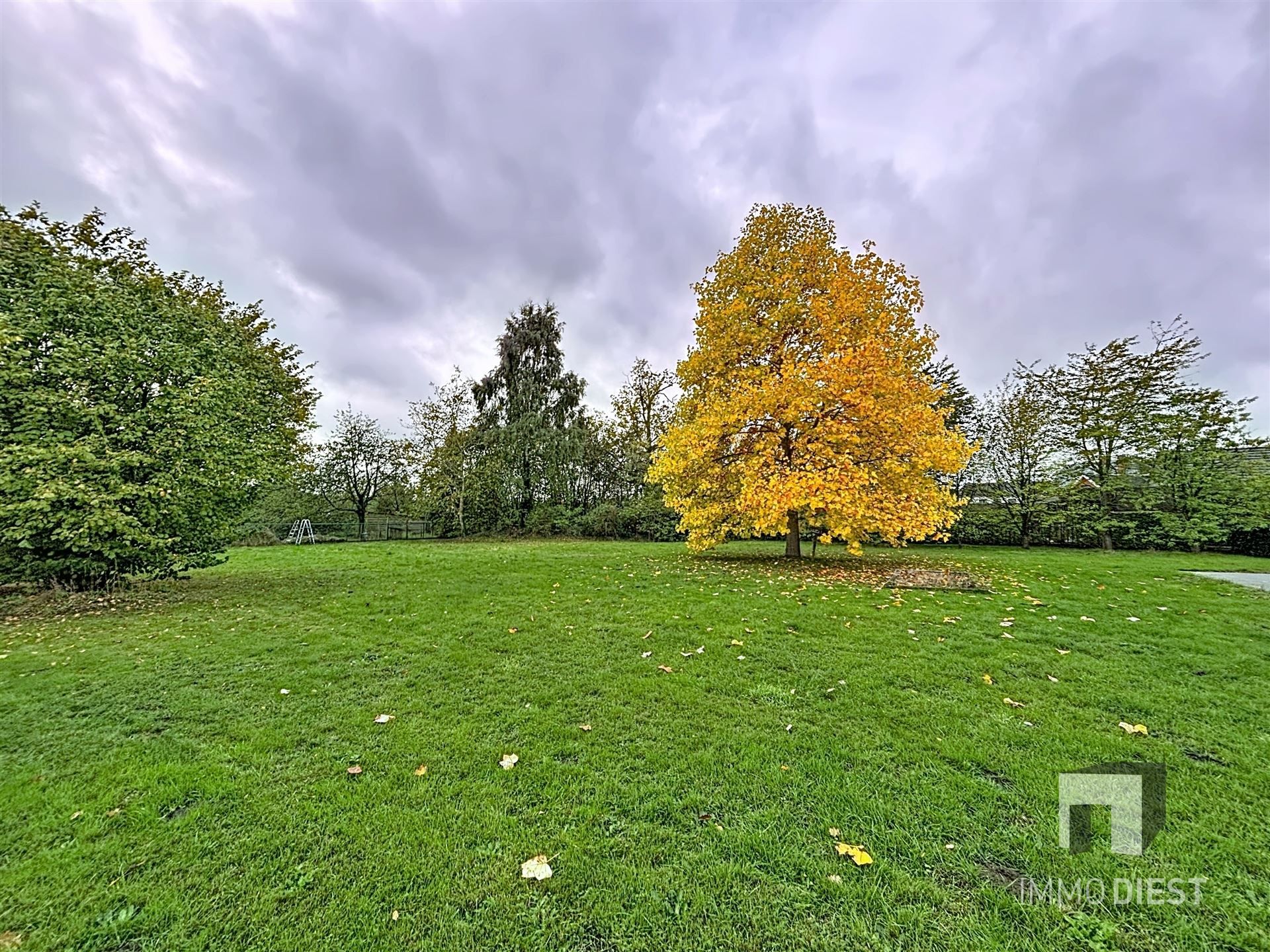 Villa met 5 slpk op 74,11are en zuidgerichte tuin foto 5