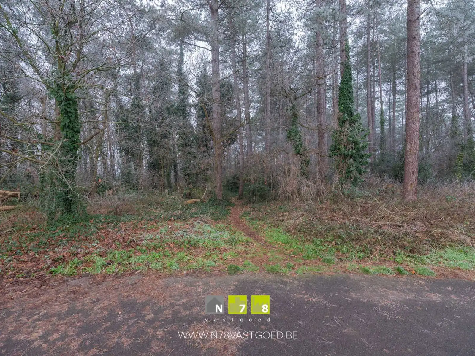 Huis te koop foto 52