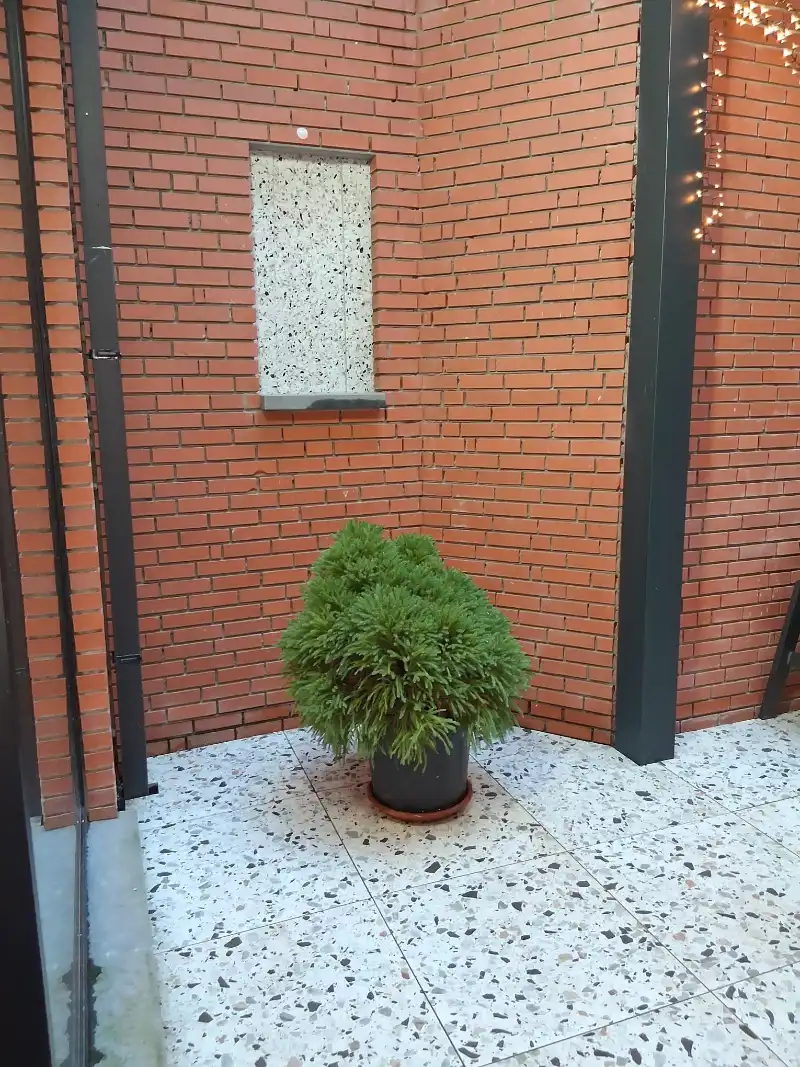 Prachtig gemeubelde duplex te huur foto 6