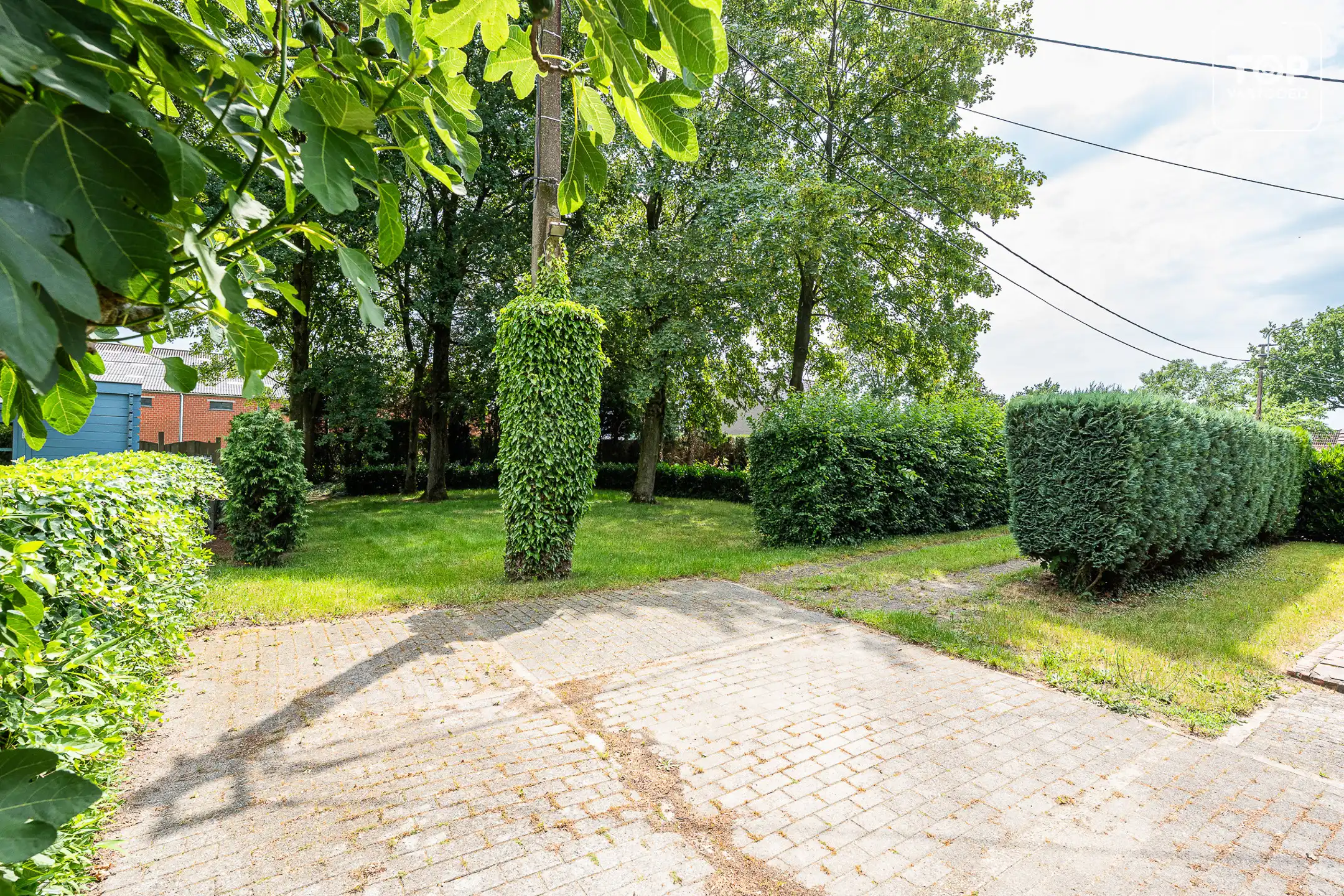 Huis te koop foto 5