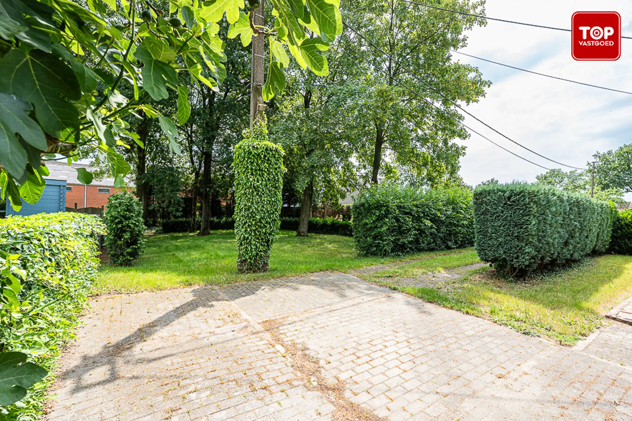 Huis te koop foto 5