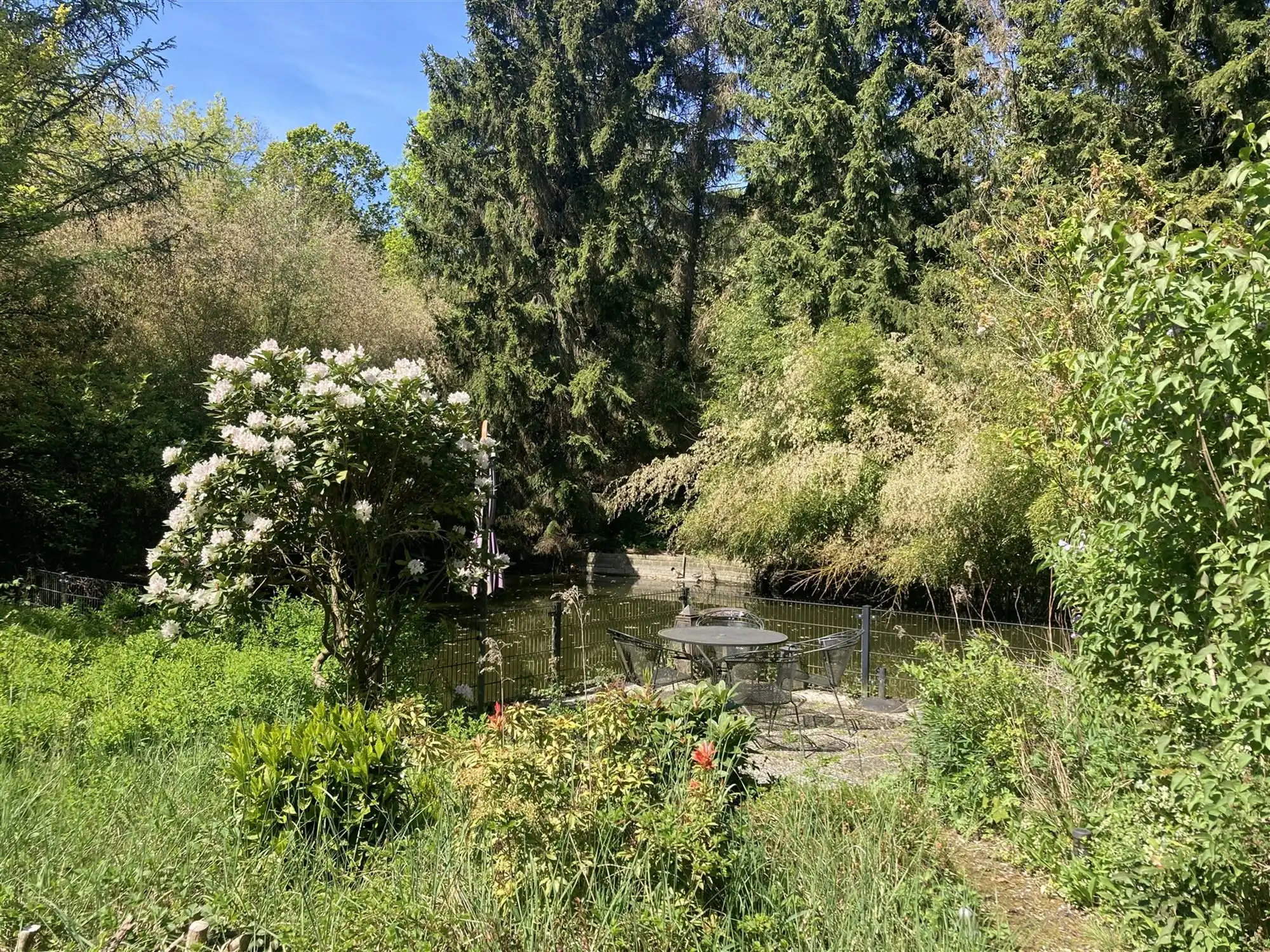 instapklare vakantiewoning in een uniek natuurgebied foto 14