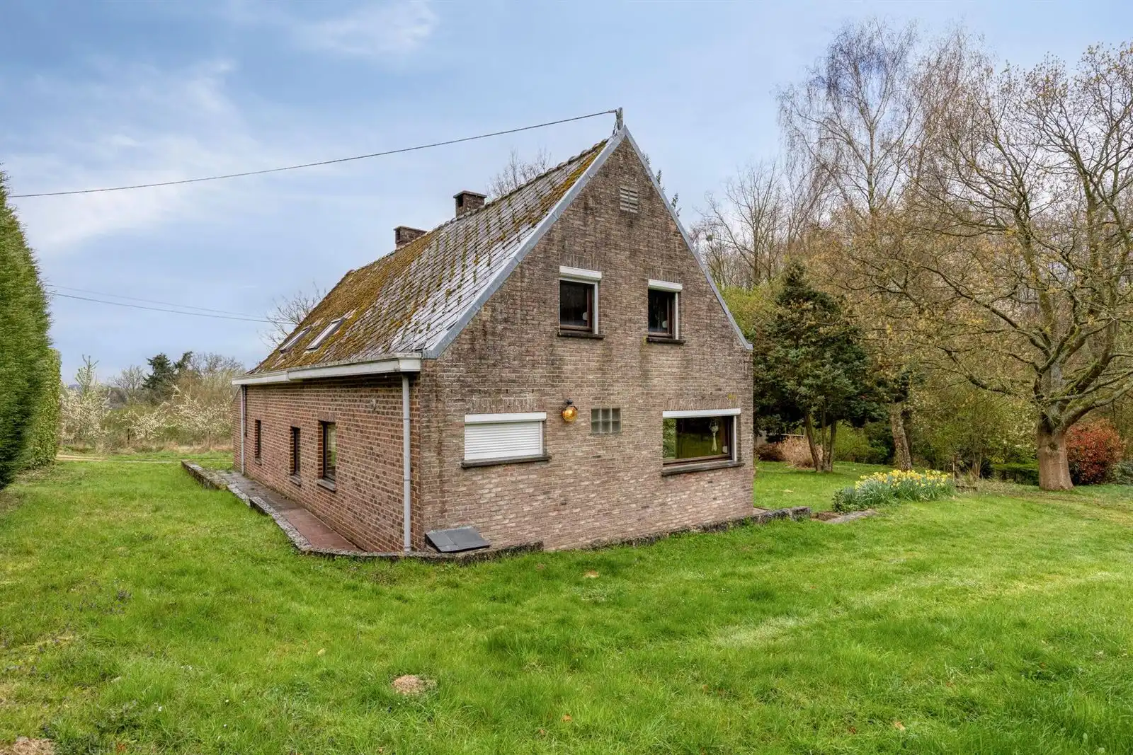Unieke 3-gevelwoning met uitbreidingspotentieel naast het Hallerbos  foto 24
