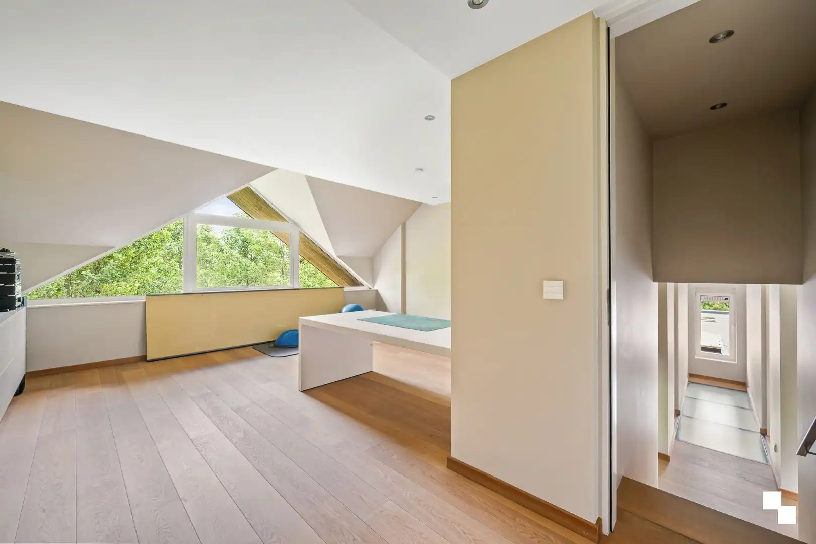 Uitzonderlijk ruime eigendom met 507 m² bewoonbare oppervlakte en weideland foto 28