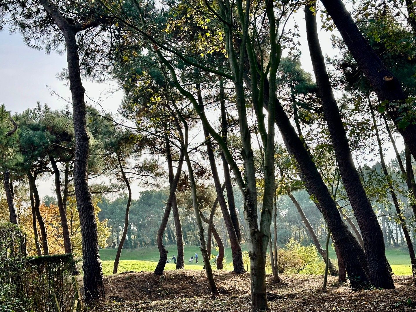 Zeldzame eigendom met prachtig zicht naar de Royal Zoute Golf, aan de hole 15. foto 6