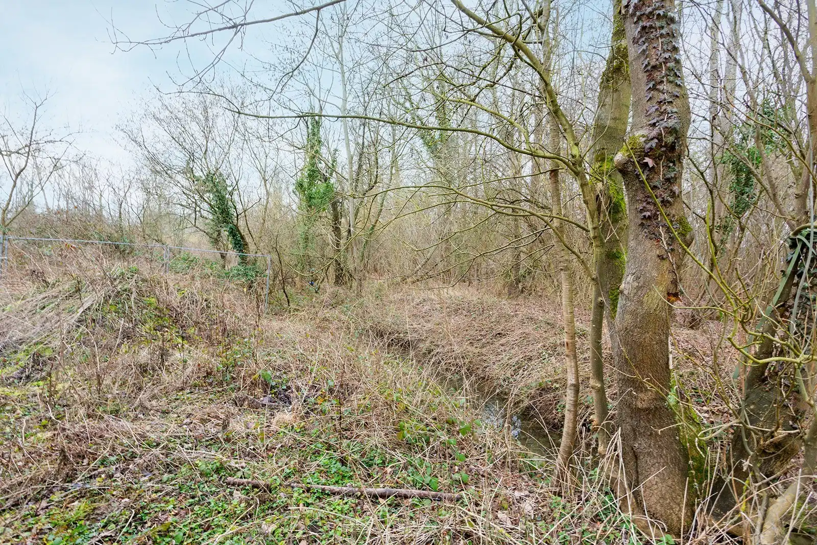 Te renoveren woning met enorm potentieel in het groene Kapelle-op-den-Bos foto 16