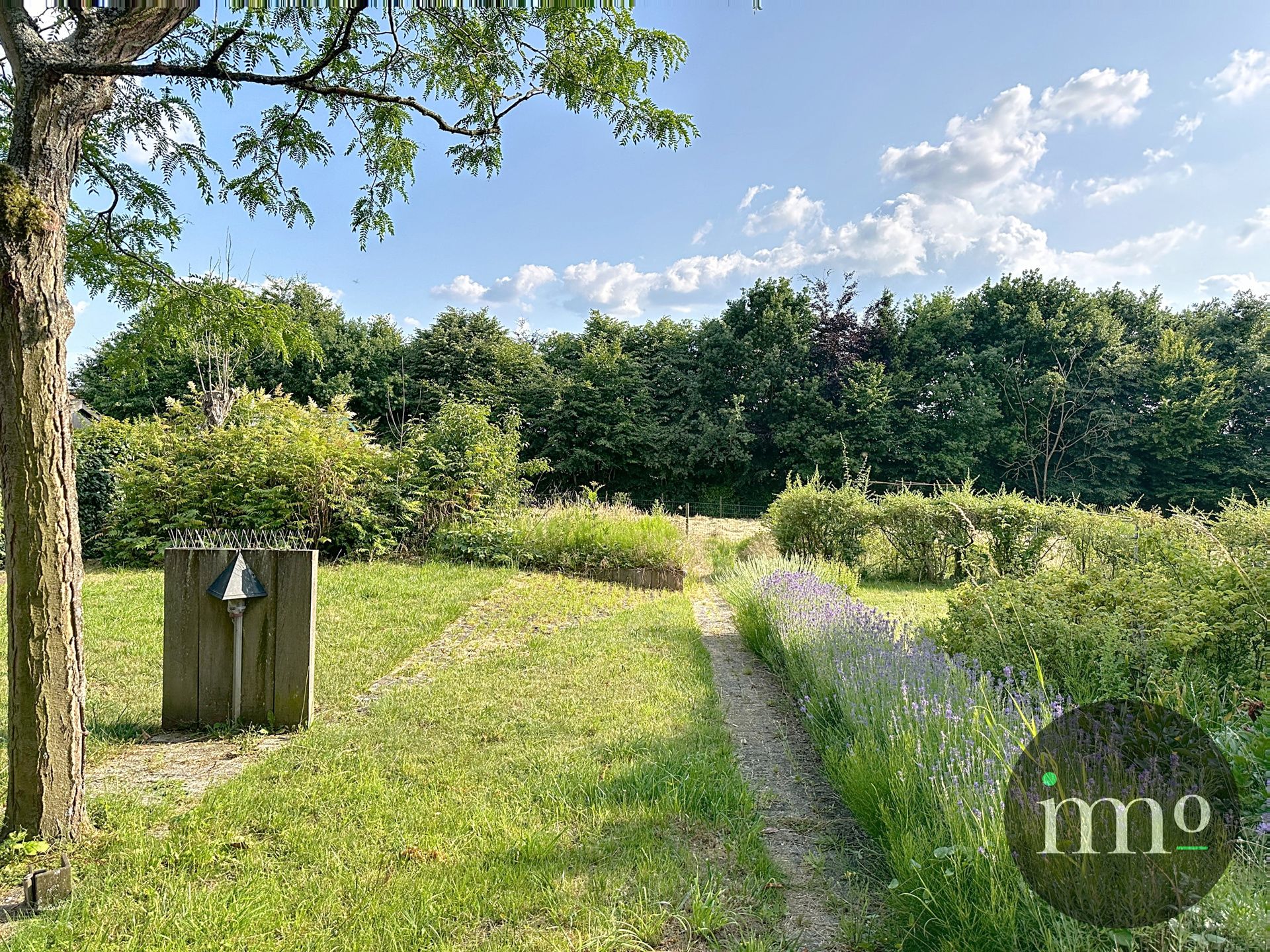 Topligging! Viergevel in groene omgeving foto 5