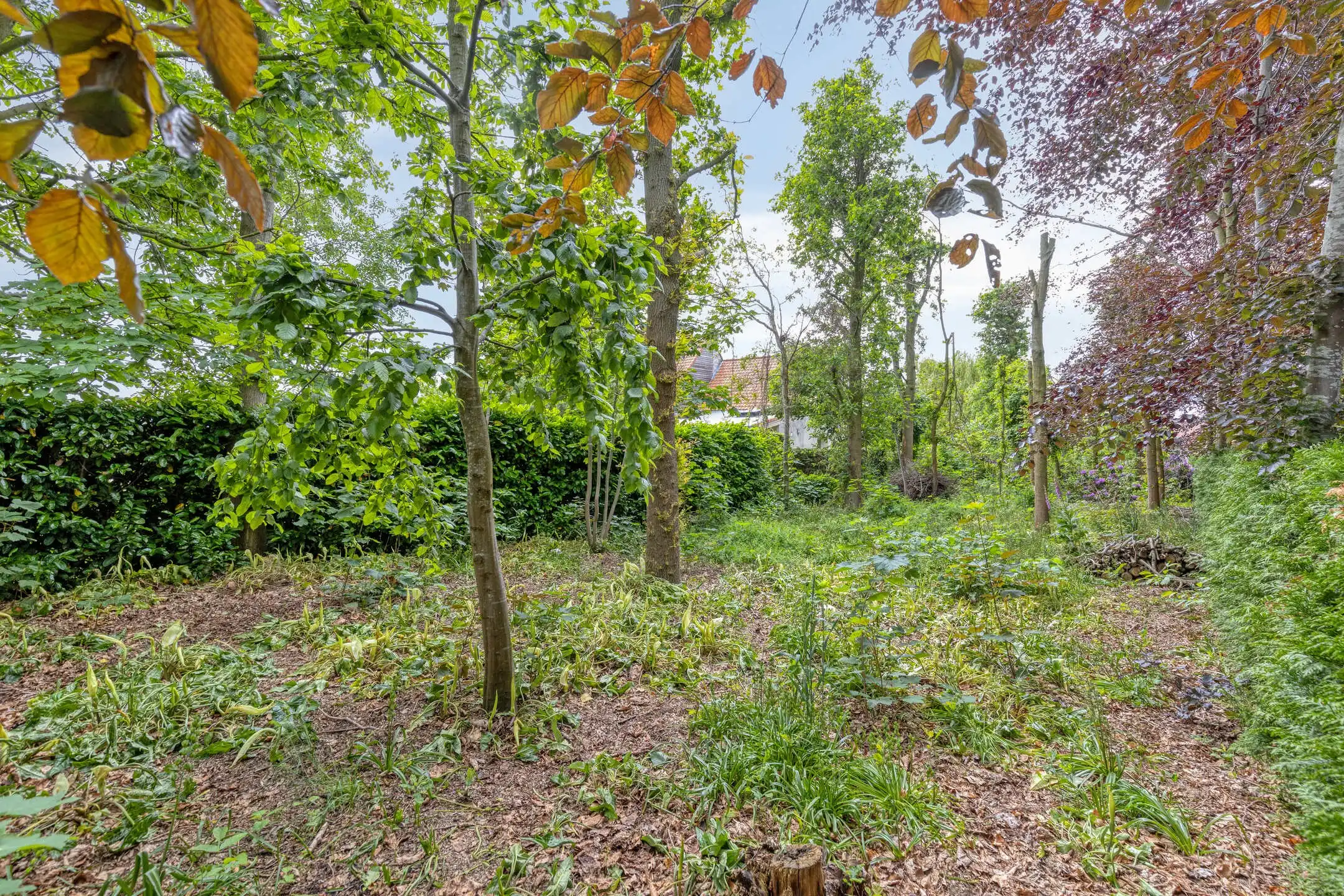 Exclusief wonen in een oase van rust ! foto 59