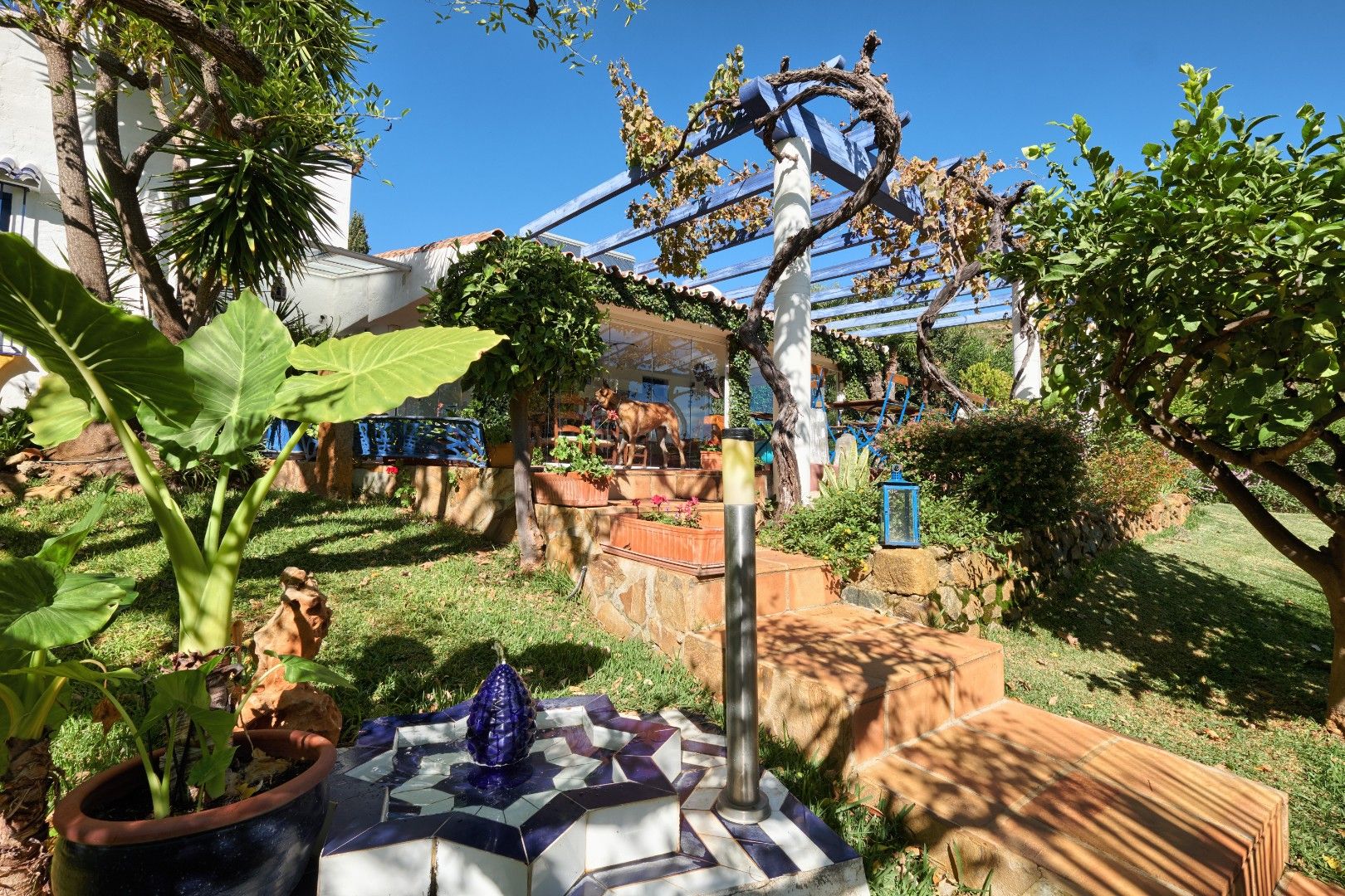 Finca dicht bij de Sierra Bermeja berg.  foto 4