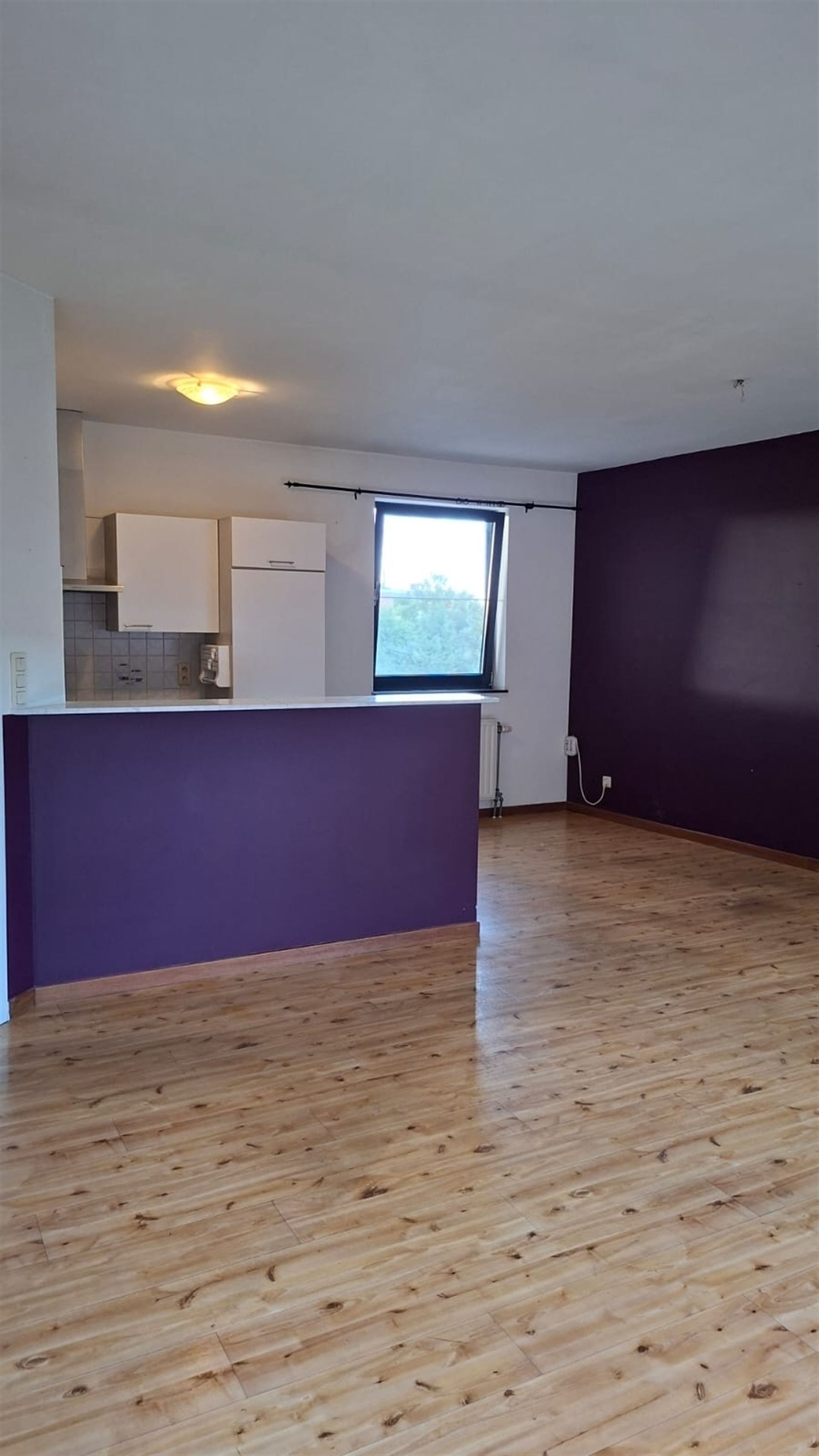 Gezellig appartement met ruim terras in centrum Boom! foto 6