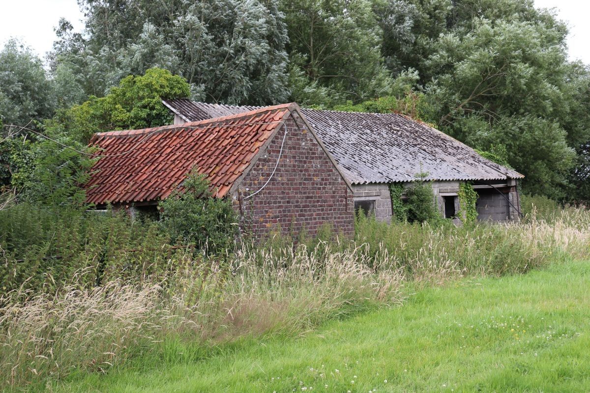 Mooi gelegen te verbouwen hoevetje te koop te Lievegem op 6.000 m² foto 6