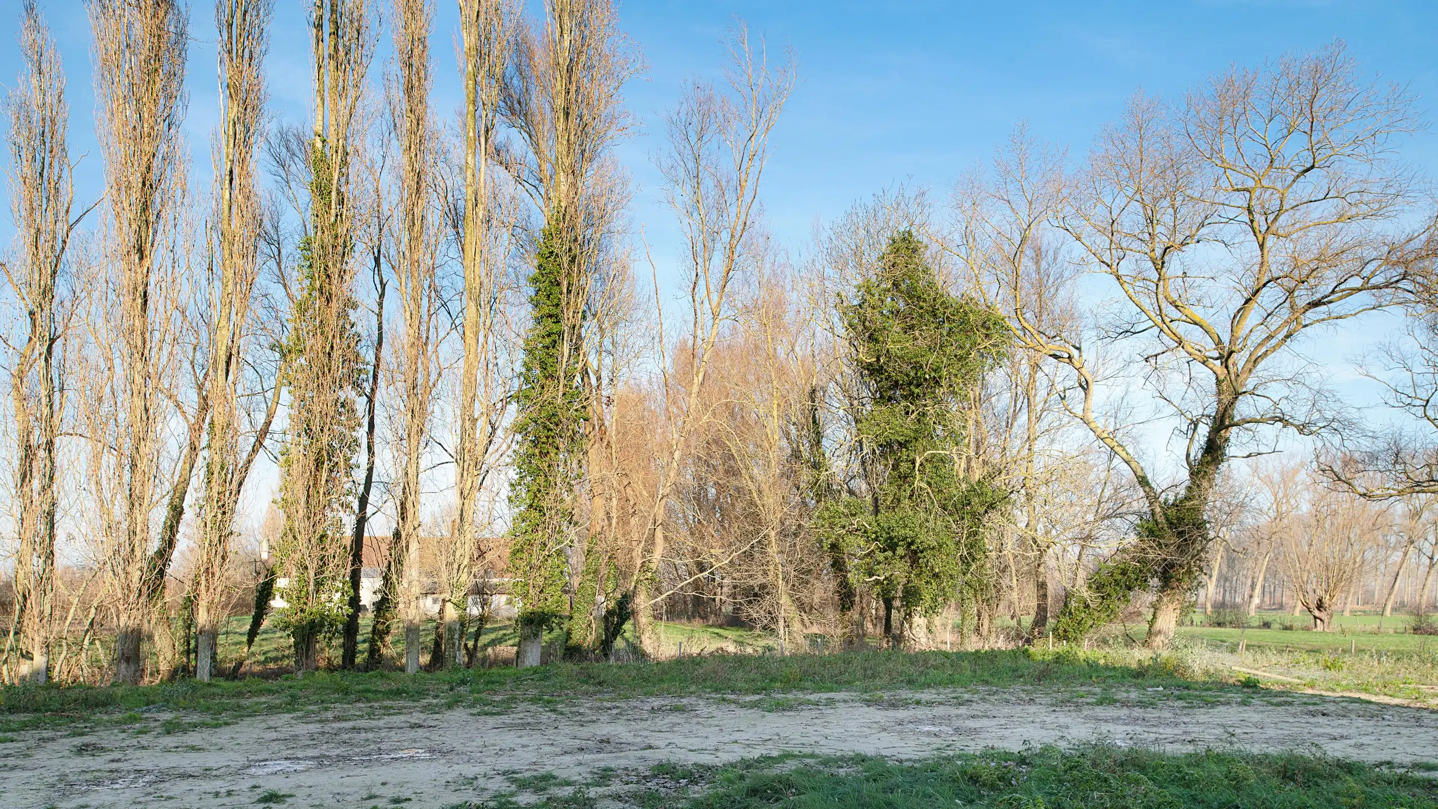 Nieuwbouw casco woning rustig gelegen te Lapscheure. foto 6