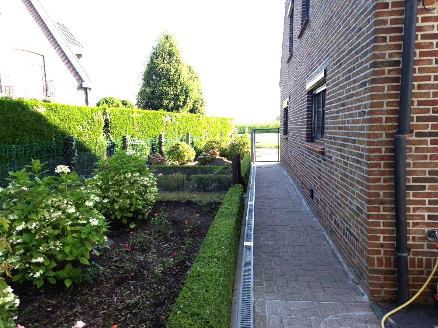 Mooie fermette  in rustige omgeving van Dentergem. foto 25