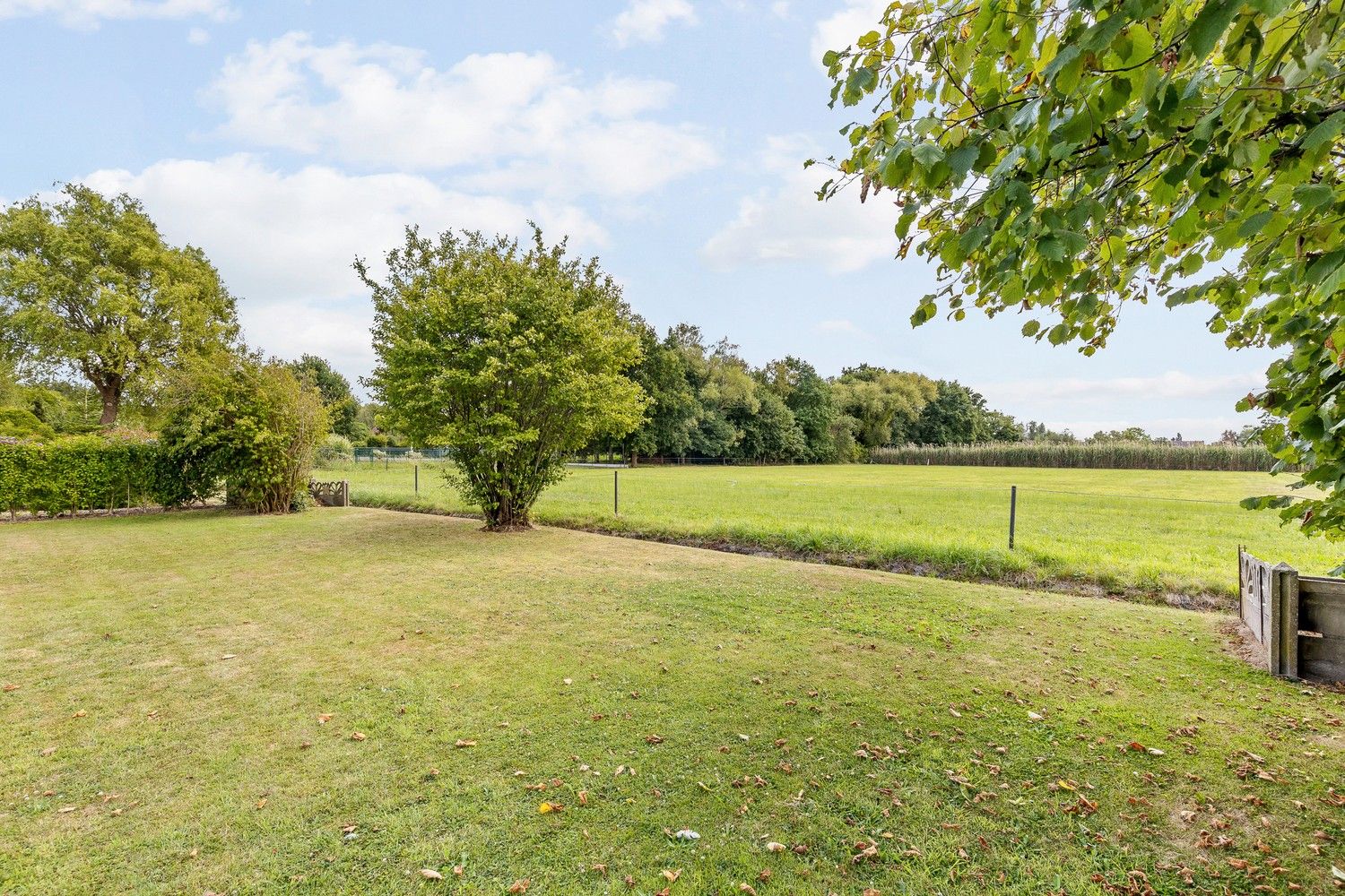 Perfect onderhouden woning met 4 Slpkrs op 1469m2 met zicht op de velden foto 4
