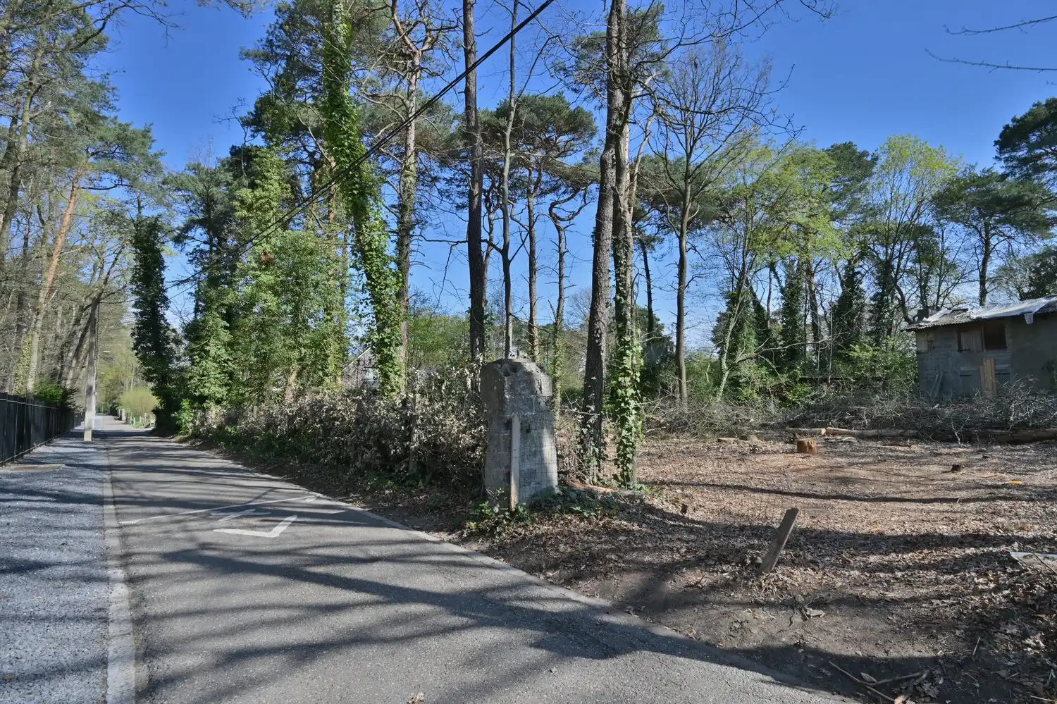 Bouwgrond (vrijstaande bebouwing) exclusief gelegen in bosrijke villawijk te Neerharen foto 3