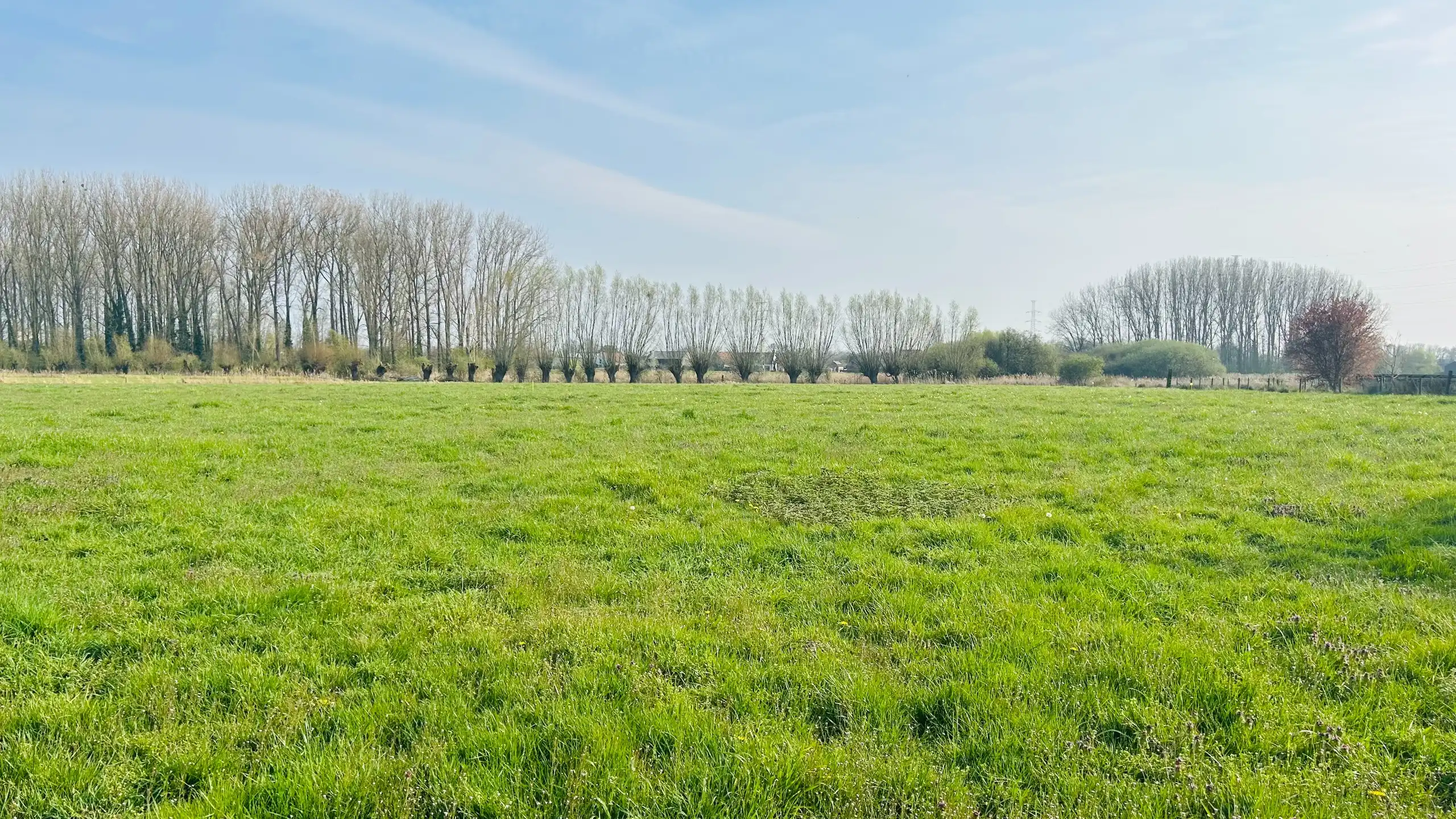 Unieke combinatie van bouwgrond en landbouwgrond foto {{pictureIndex}}