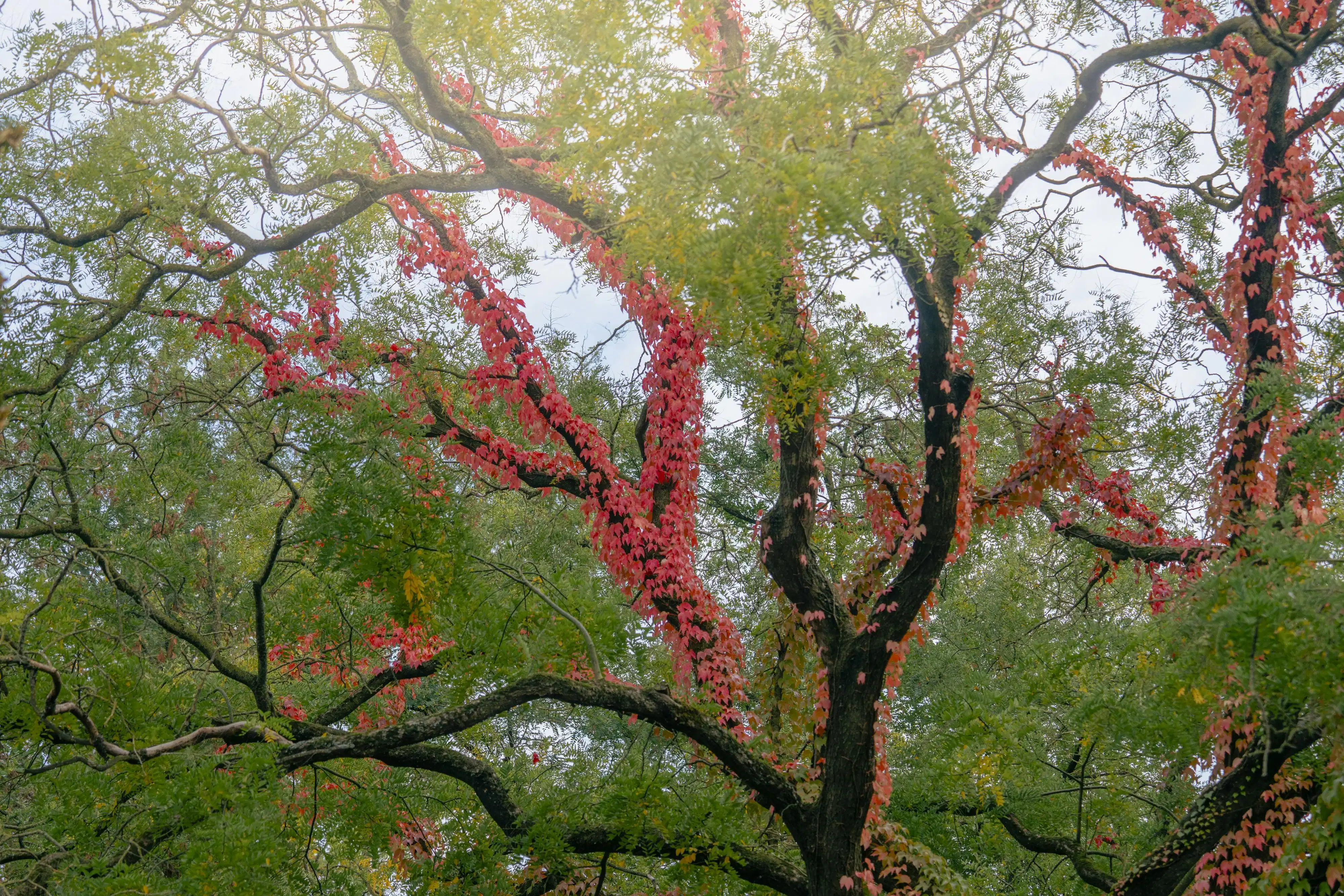 Fenomenale villa in een oase van groen te Meulebeke! foto 20