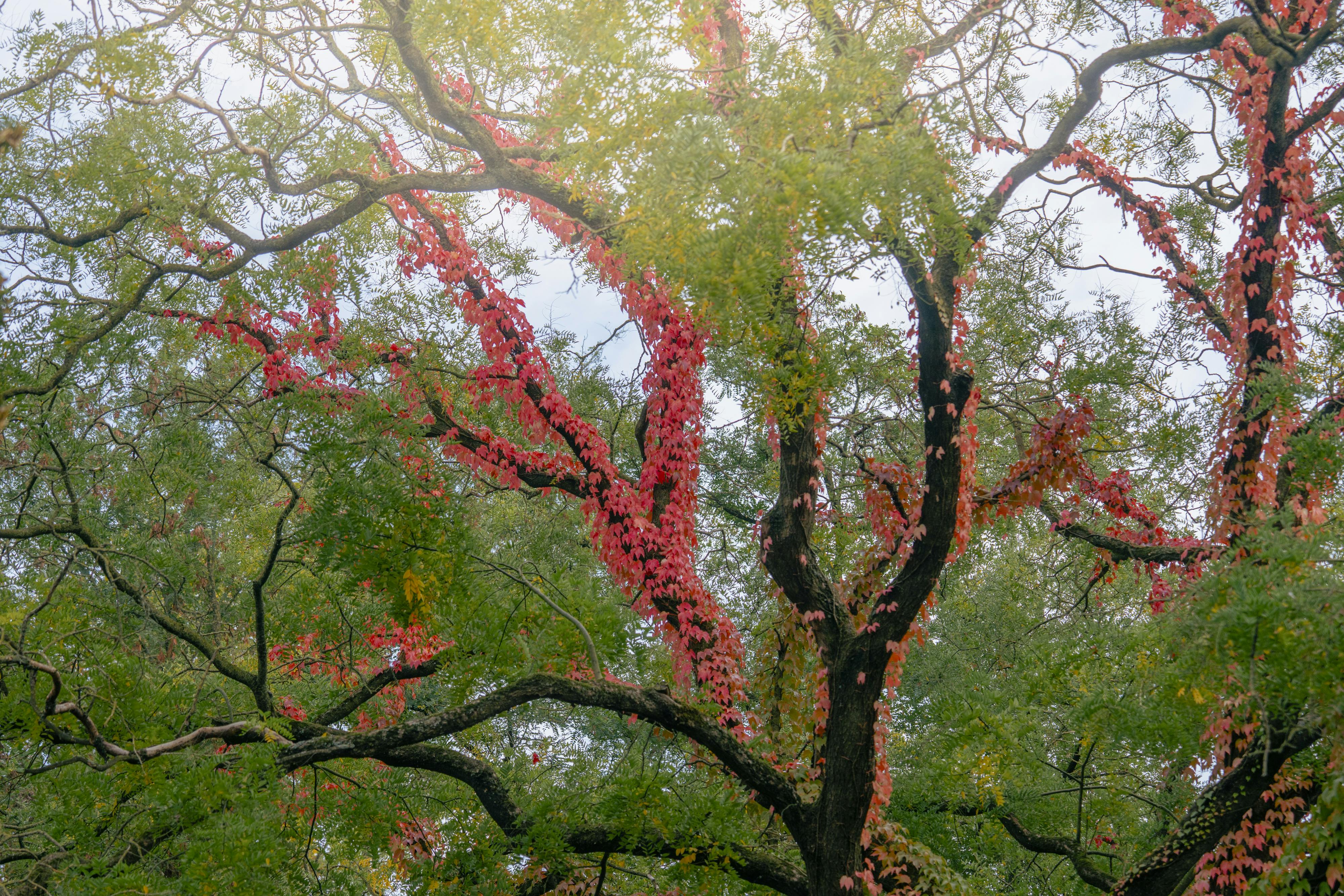 Fenomenale villa in een oase van groen te Meulebeke! foto 20