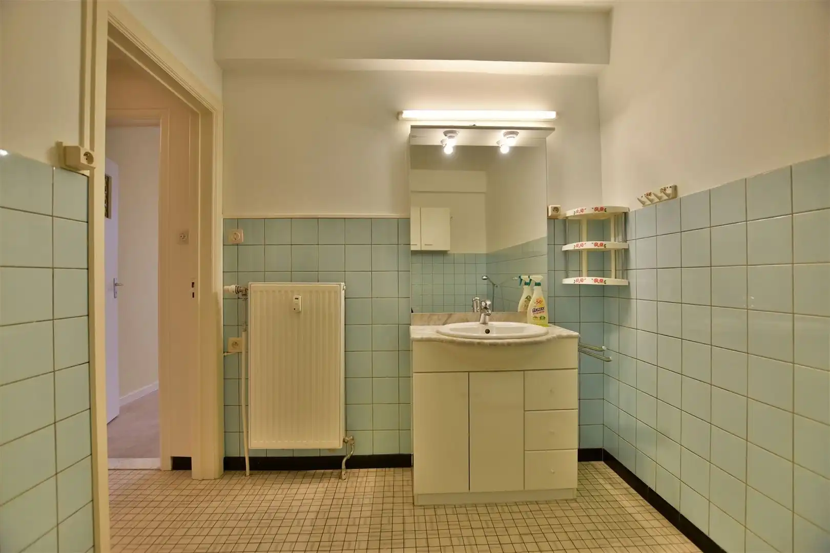 Ruim appartement met uniek zicht op stadspark en Brusselse Poort foto 13