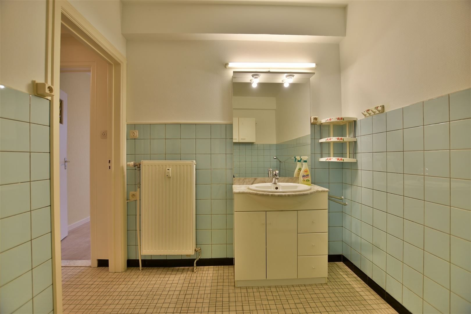 Ruim appartement met uniek zicht op stadspark en Brusselse Poort foto 13