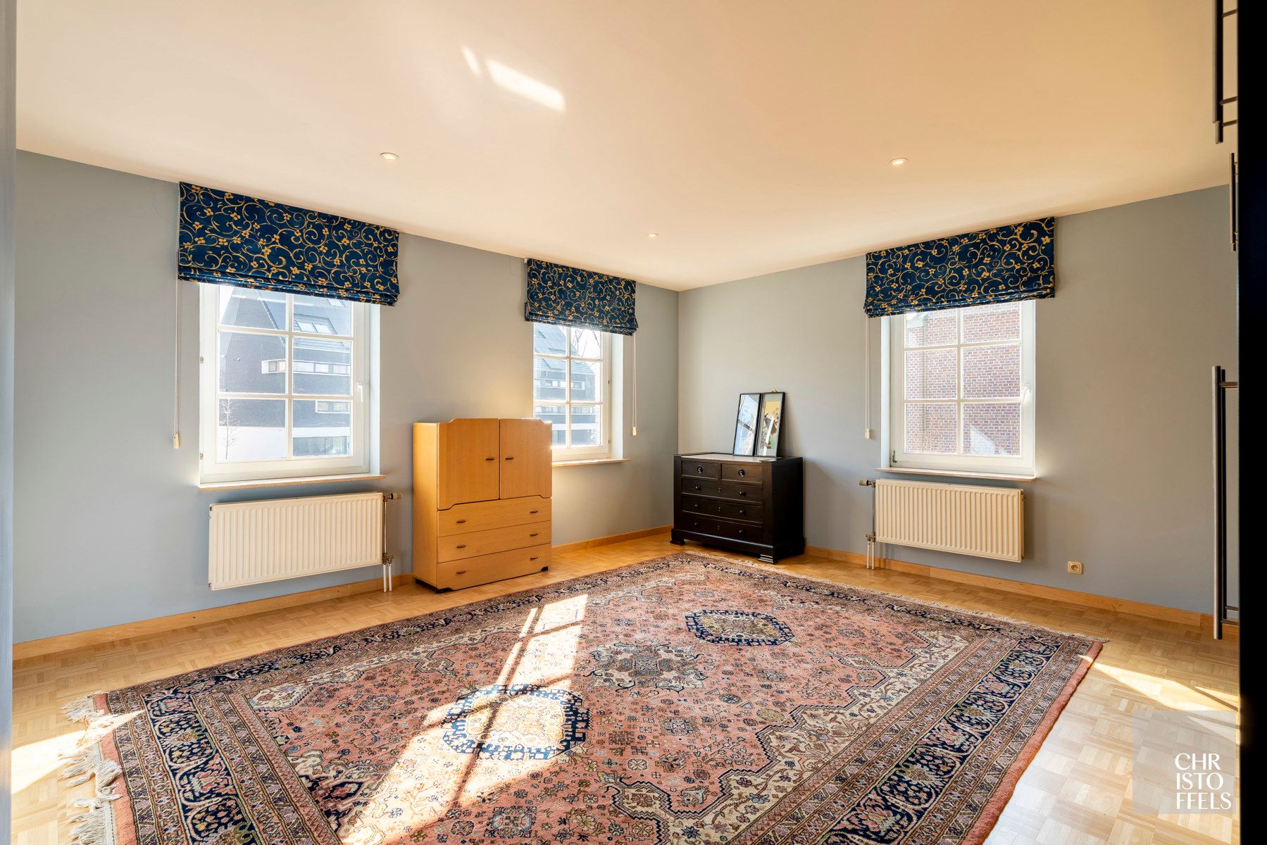 Riante vrijstaande woning mét praktijkruimte in het centrum van Opgrimbie!  foto 24