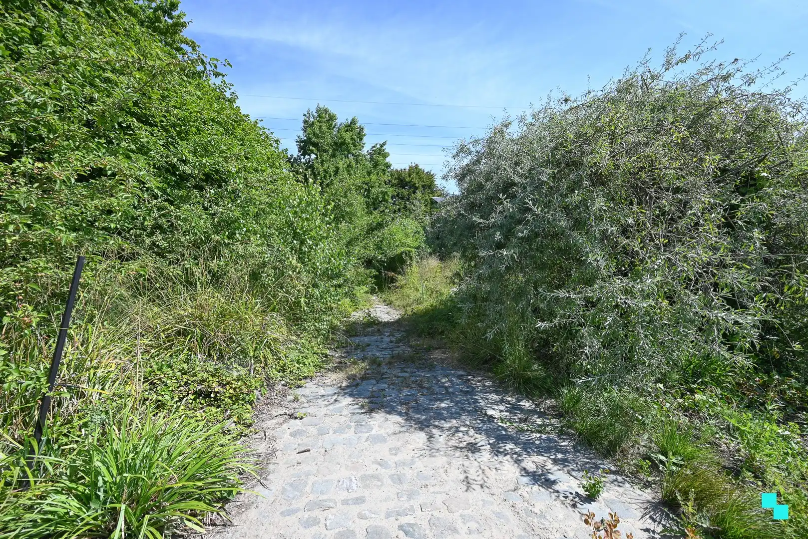 Unieke te renoveren woning / bouwgrond, rustig en groen gelegen te Wallemote foto 4