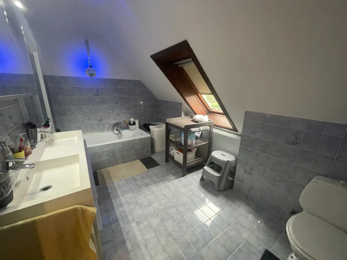 EENGEZINSWONING + garage & tuin foto 25