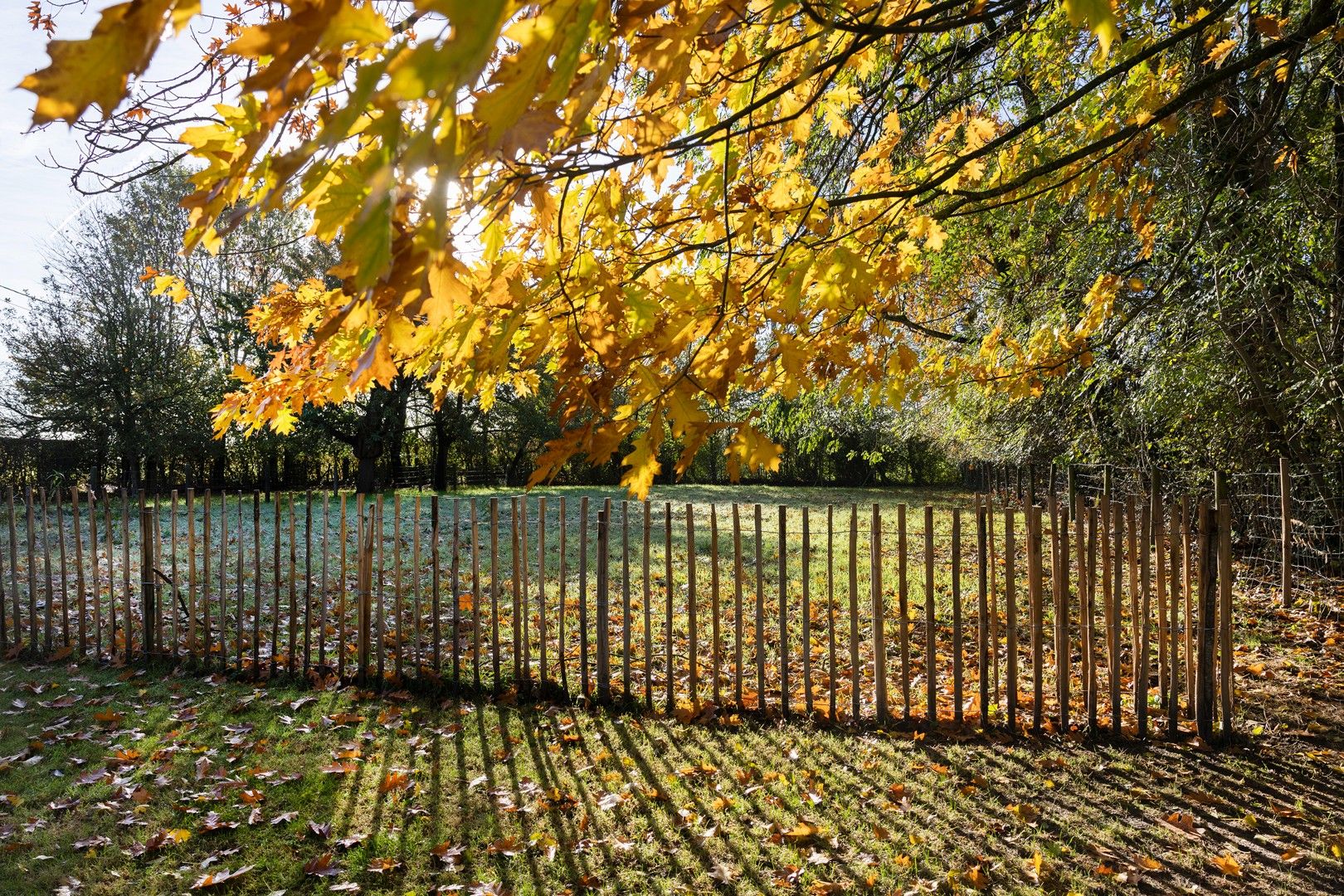 Landelijke woning op ruim 3.000 m². foto 5