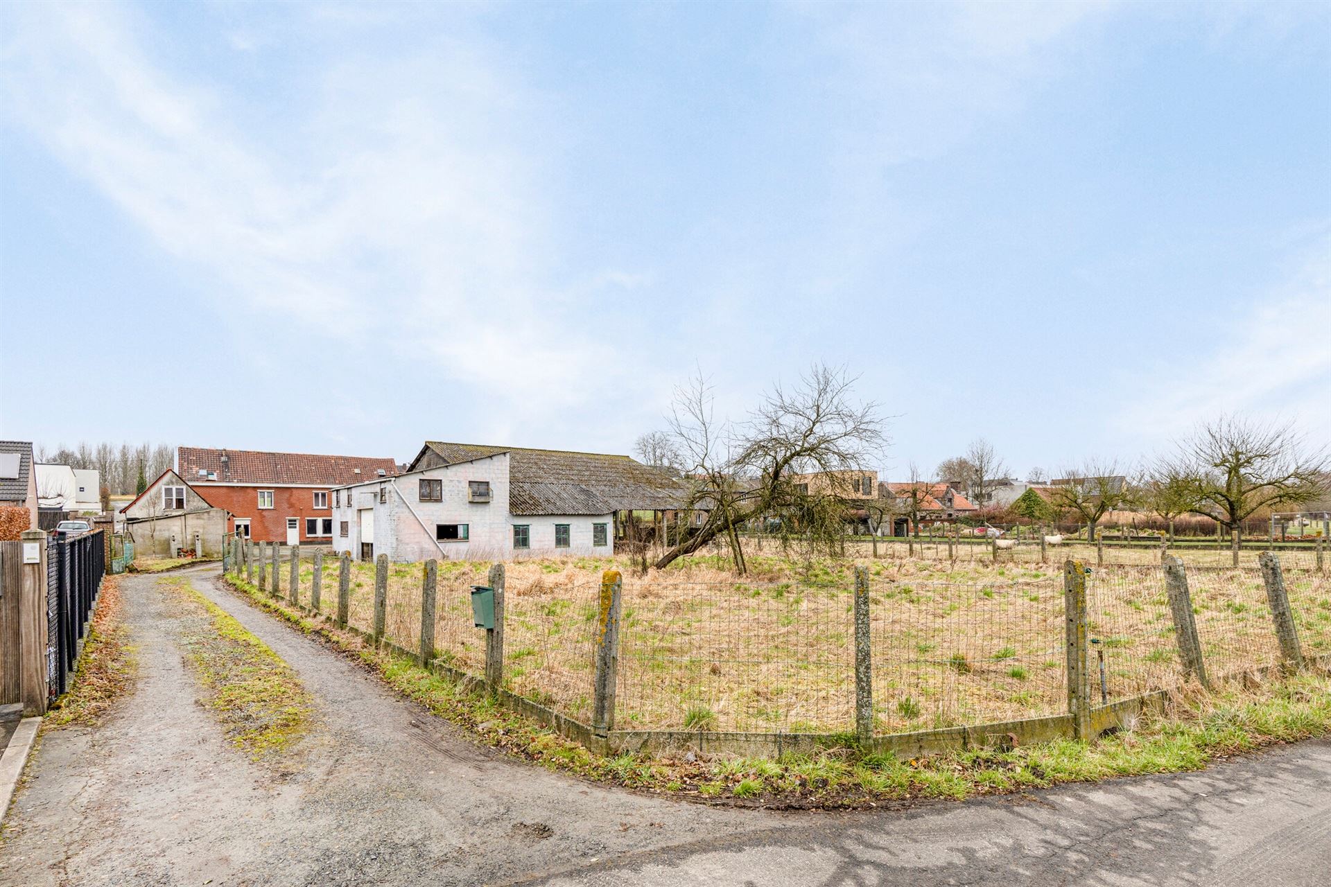 Boerderij met loods en enkele stallingen foto 2