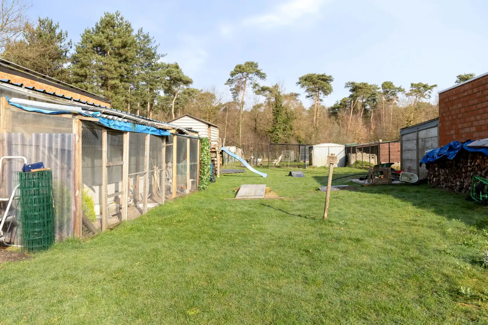 Te renoveren woning met 3 slpks op een prachtig perceel van 1.428 m² !  foto 18