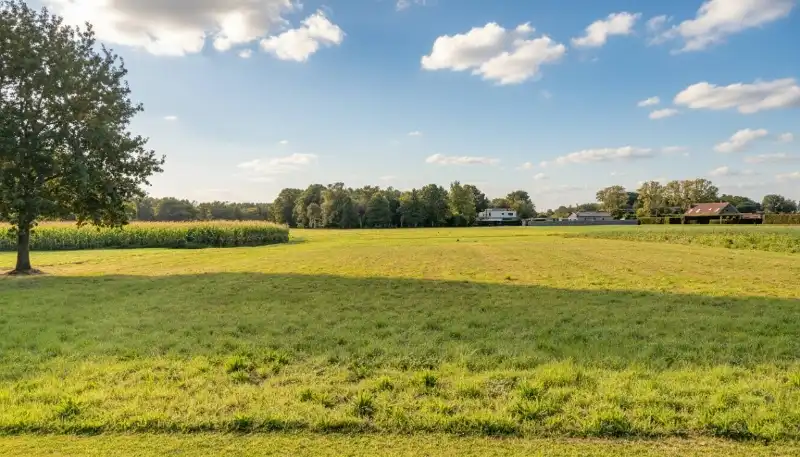 Hoeve van 300m² op 1 hectare 77 met achterliggende weiden foto 4