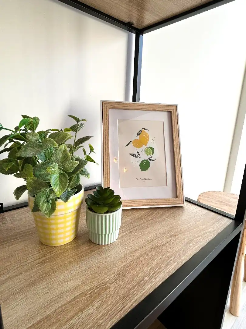 Prachtig gerenoveerd appartement met 2 slaapkamers foto 12