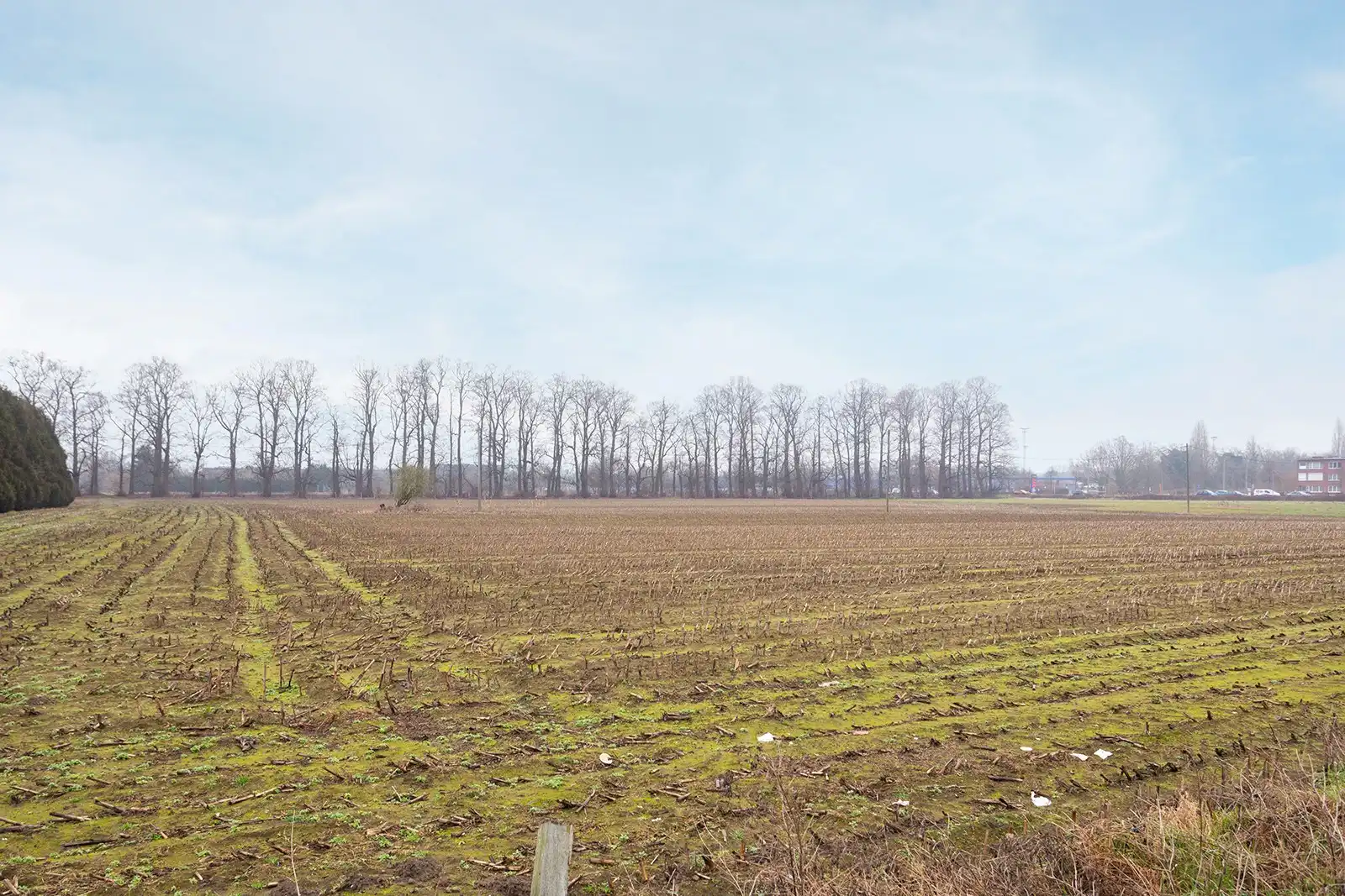 Rustig wonen met open zicht foto 2