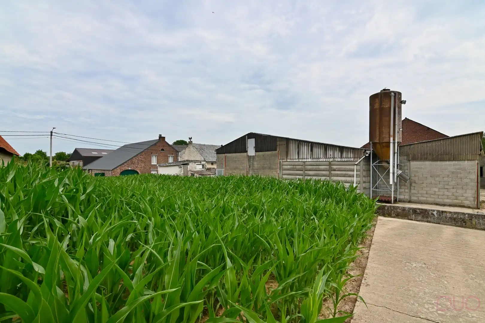 Hoevewoning op een perceel van 69a20ca met een veestal van 391m2 en een open schuur van 355m2 foto 15